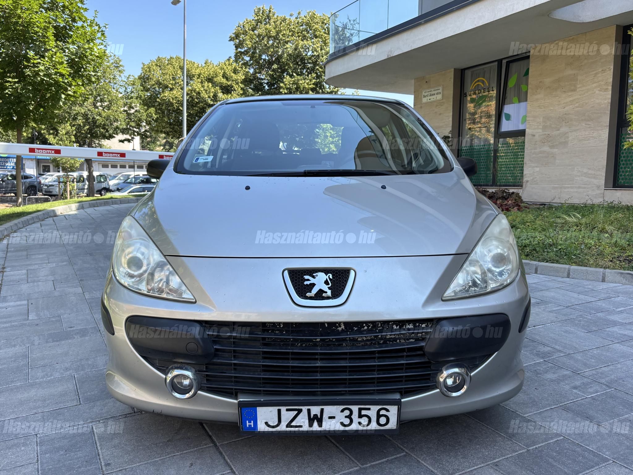 PEUGEOT 307 2006 - 1