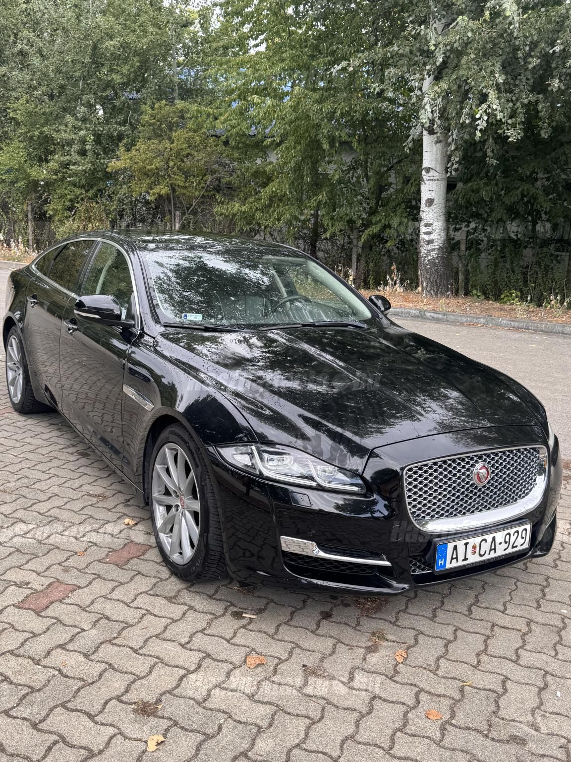 JAGUAR XJ 2016/5 - 1