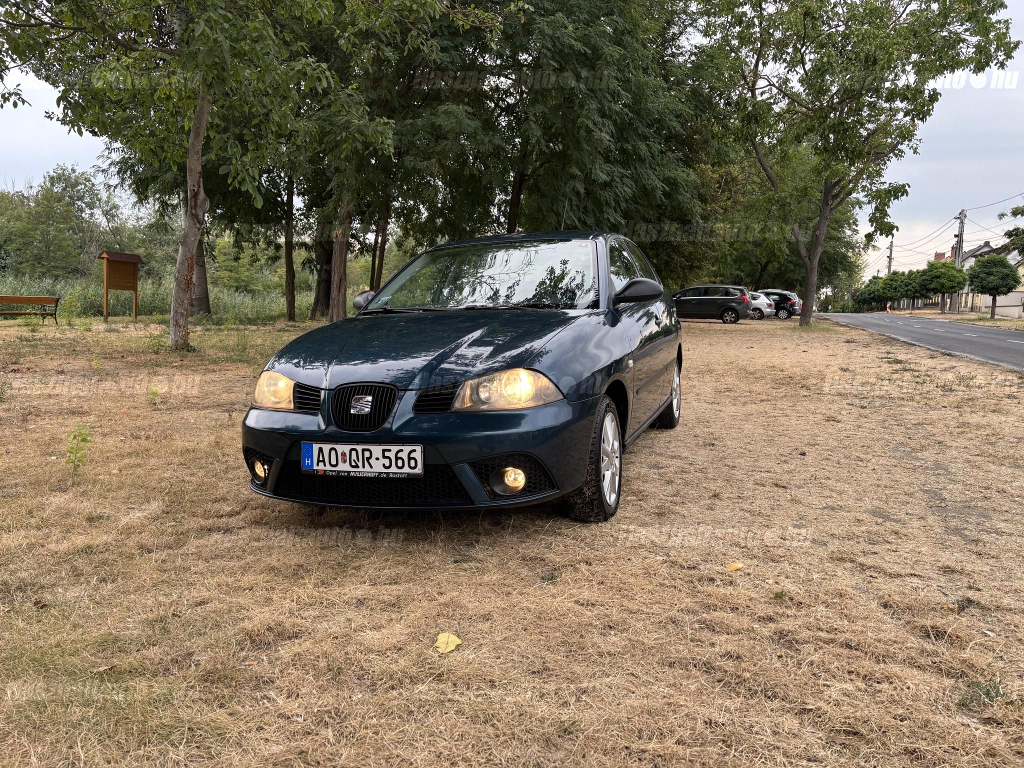 SEAT IBIZA 2008/5 - 1