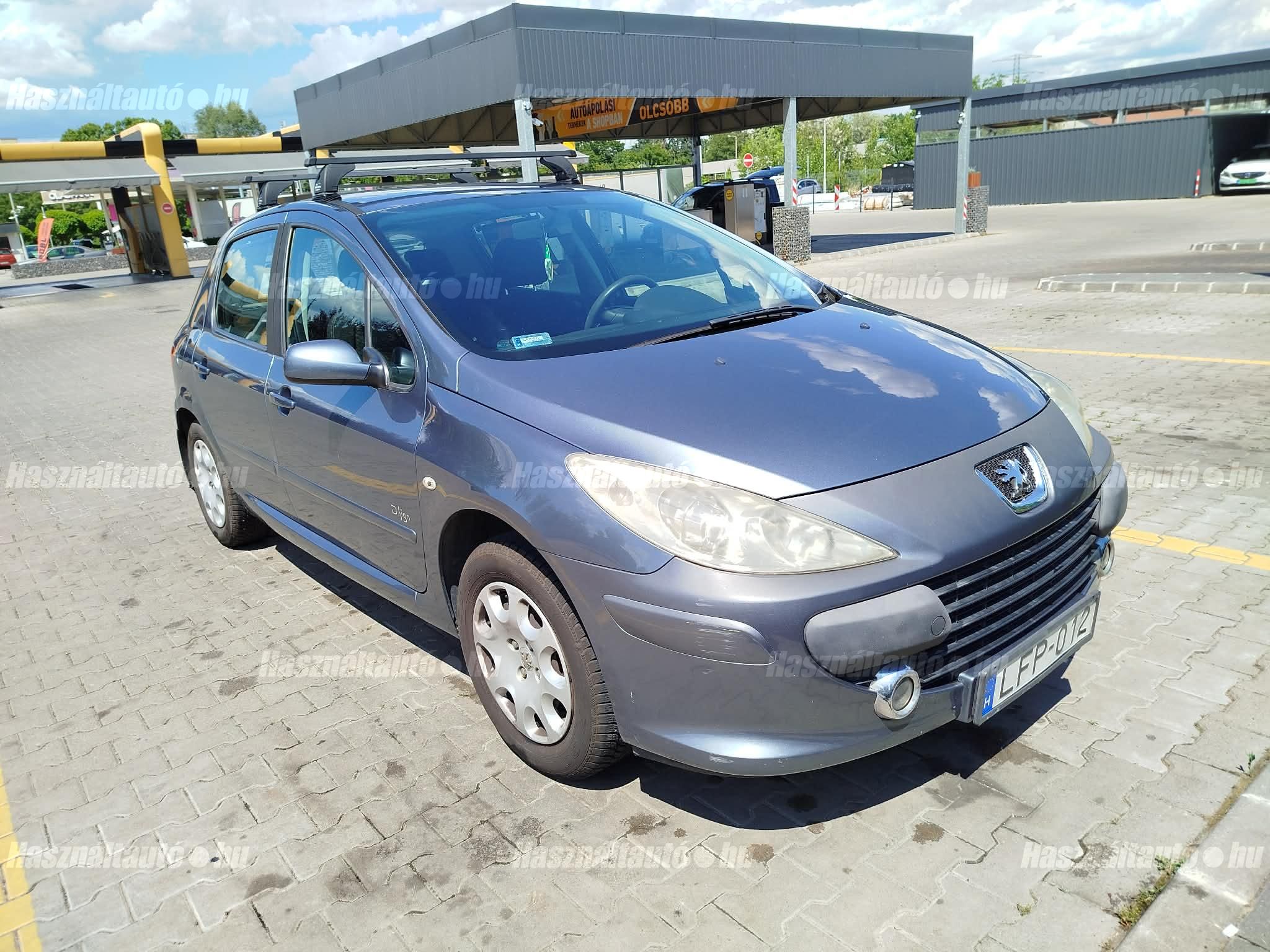 PEUGEOT 307 2007 - 1