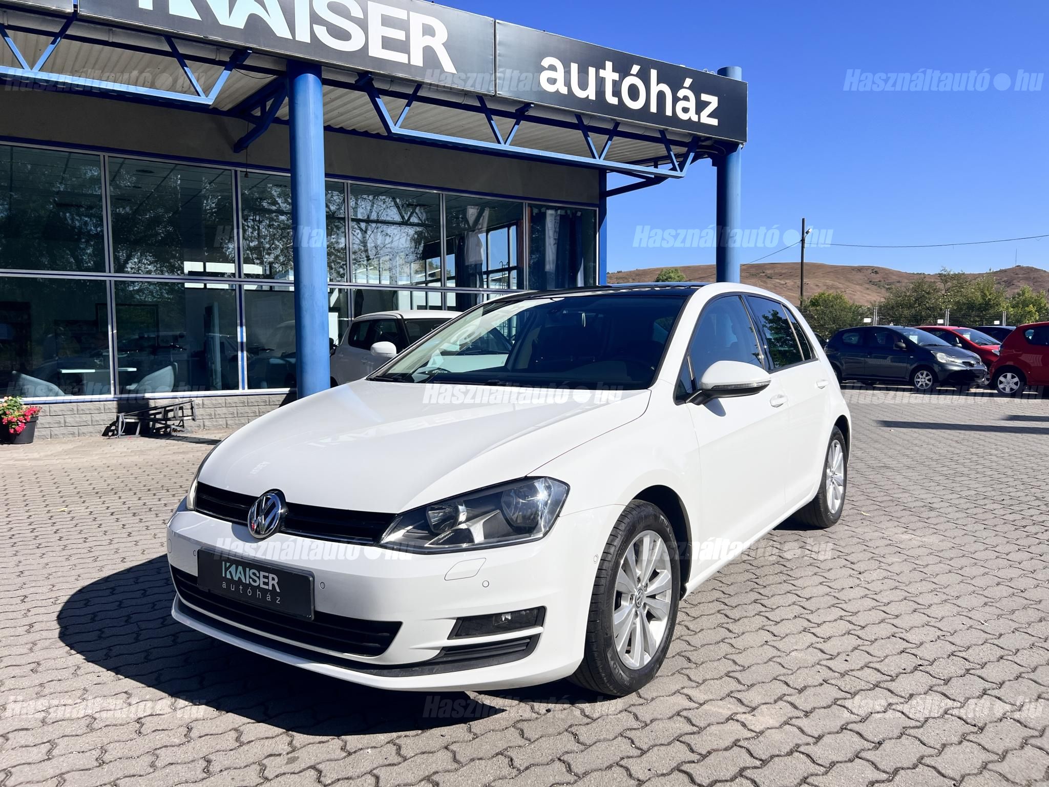 VOLKSWAGEN GOLF VII 2013/4 - 1