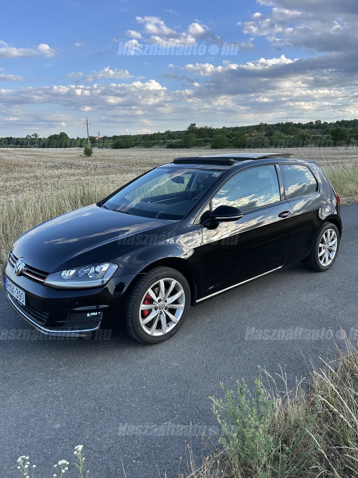 VOLKSWAGEN GOLF VII 2013/5 - 1
