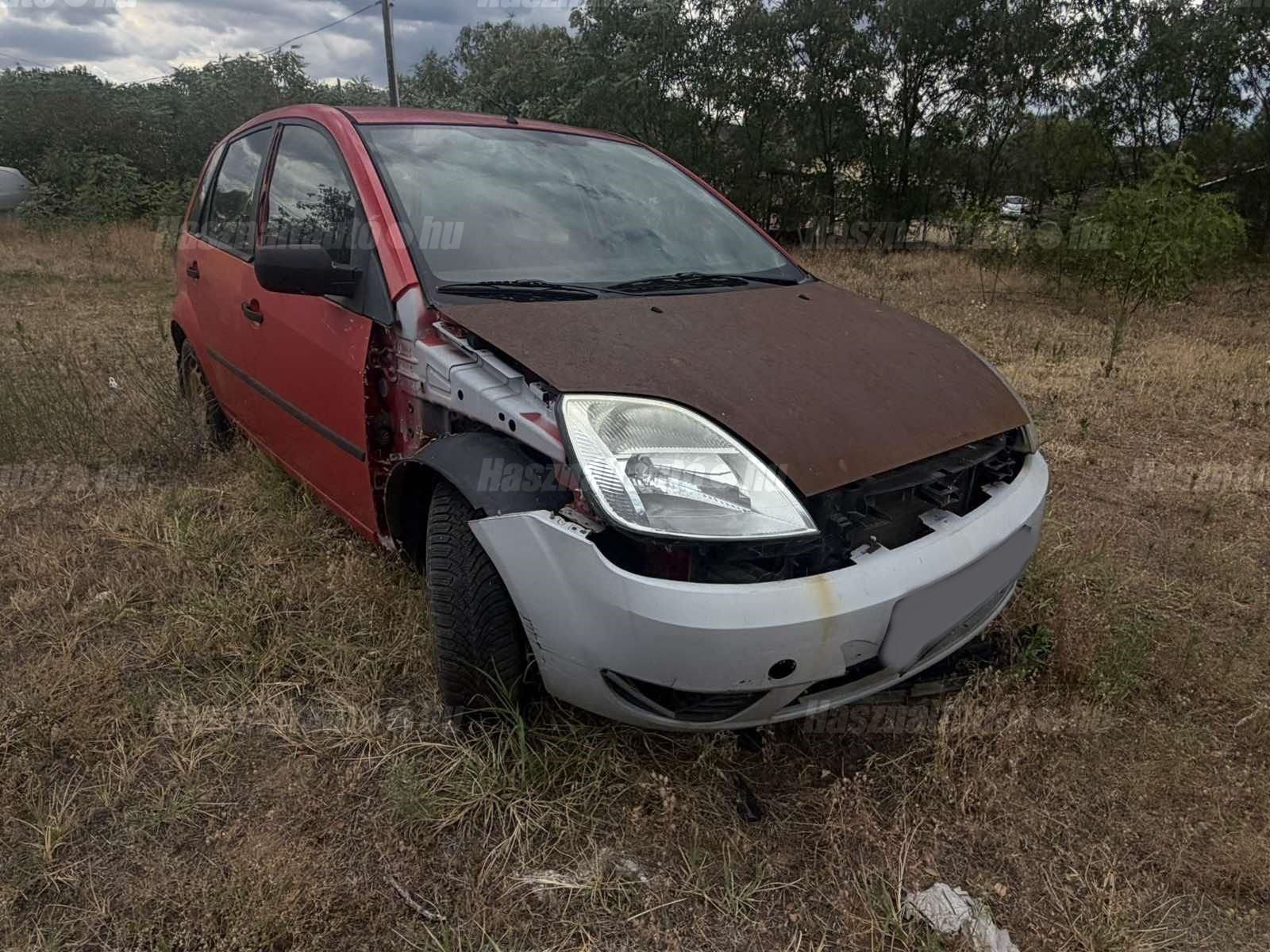 FORD FIESTA 2004 - 1