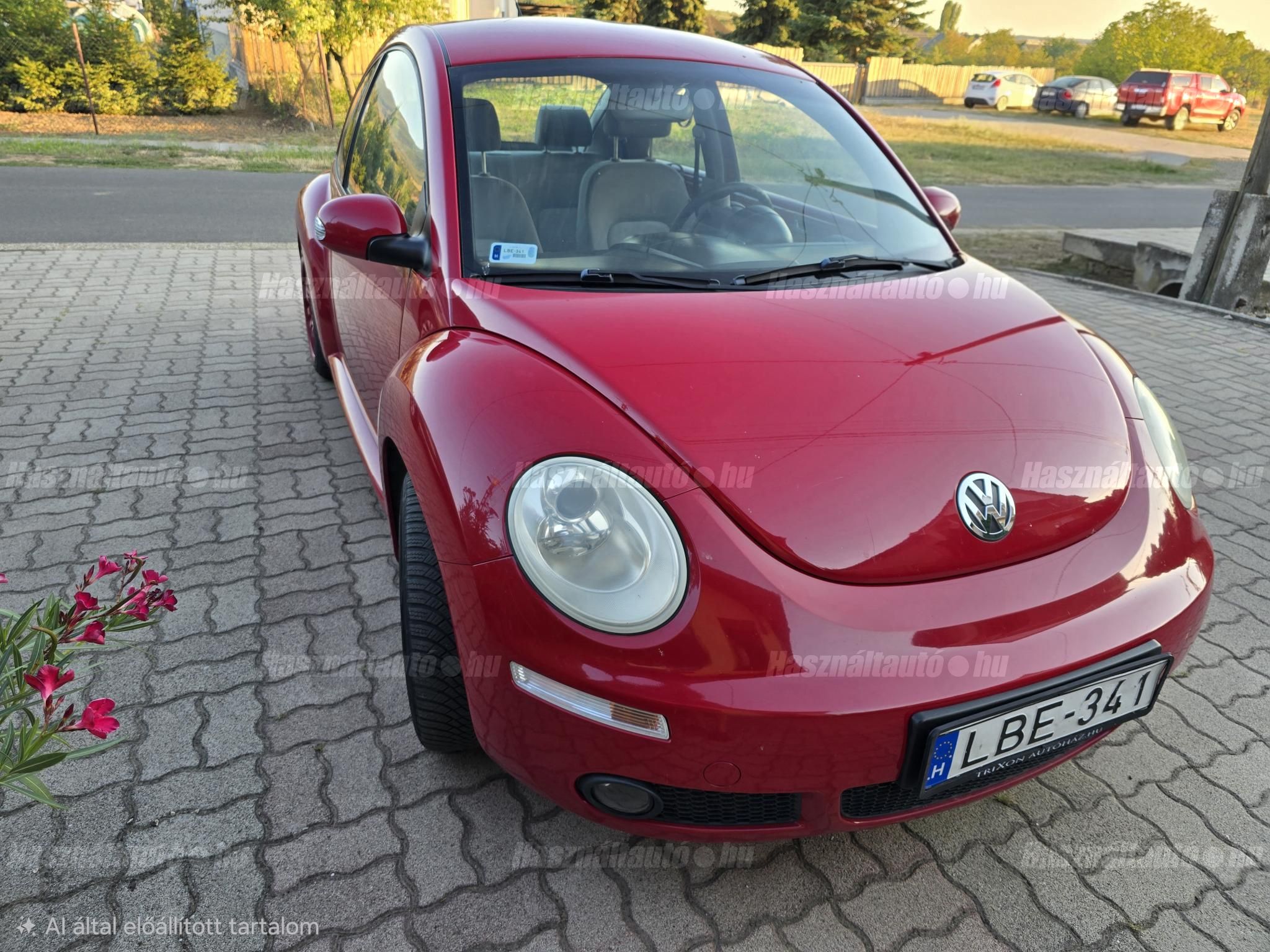 VOLKSWAGEN BEETLE 2008/6 - 1