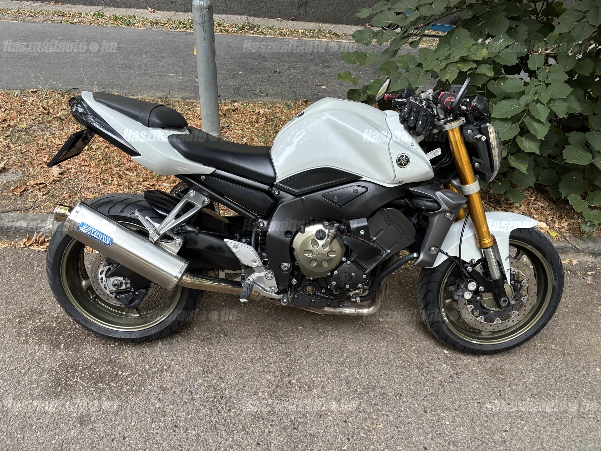 YAMAHA FZ1 2008 - 1