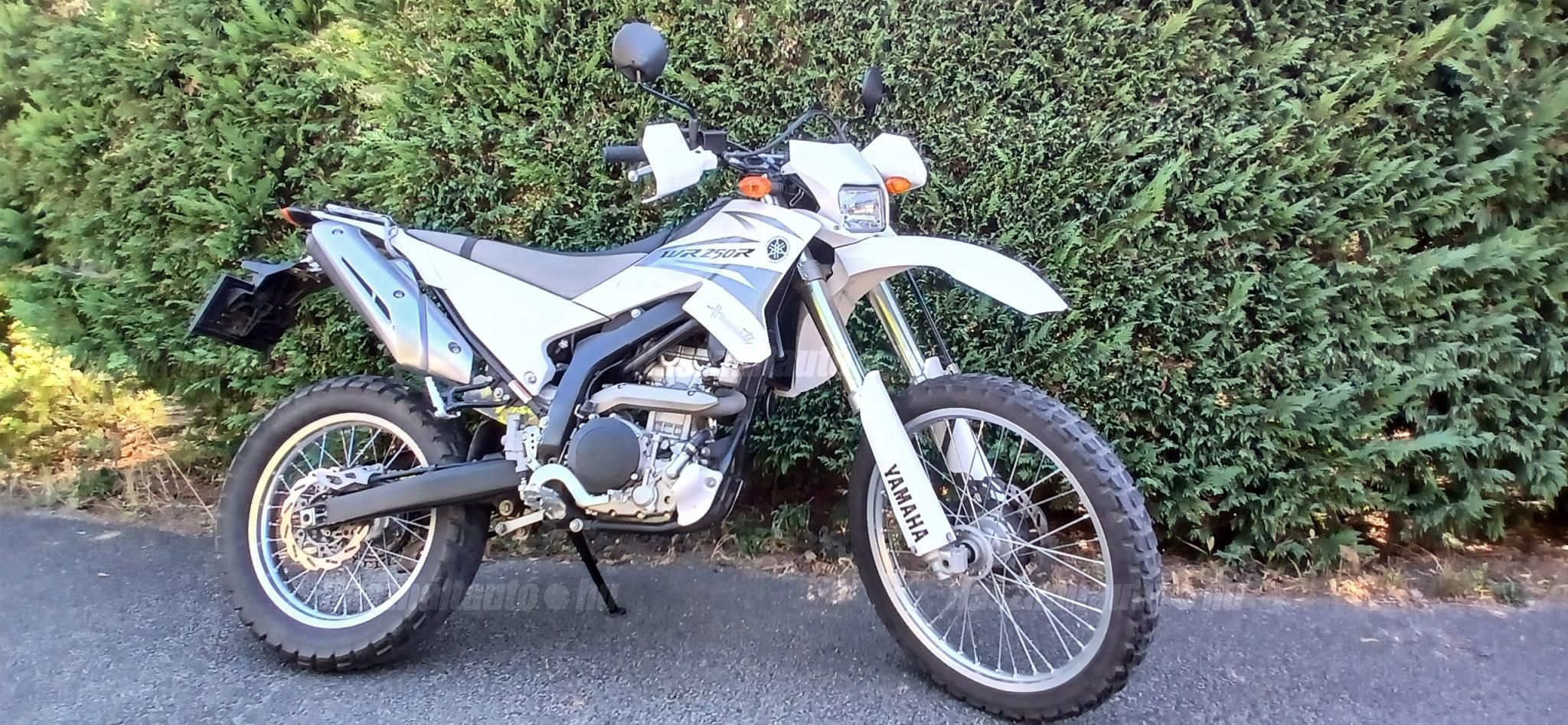 YAMAHA WR 250 R 2008/11 - 1