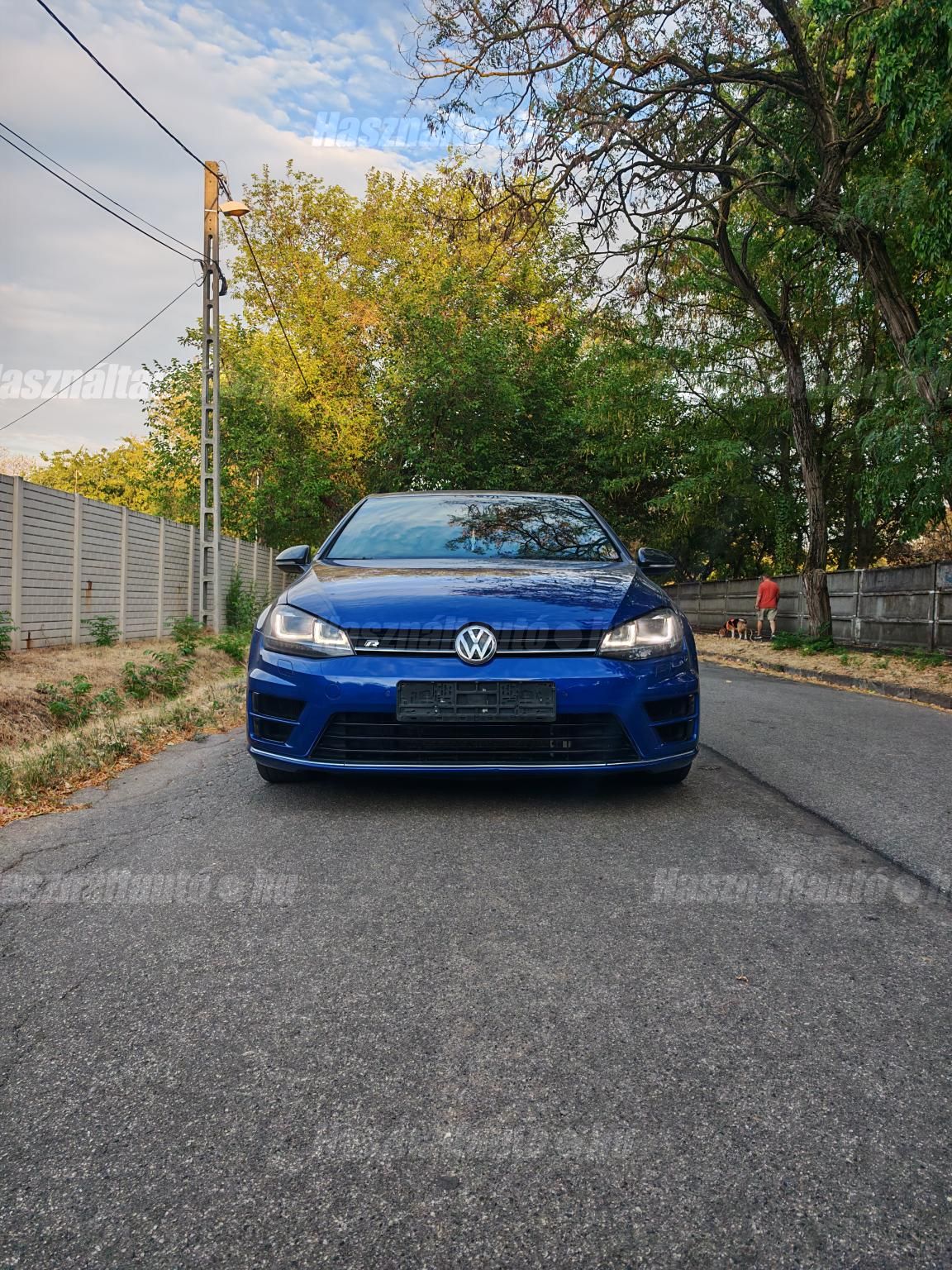 VOLKSWAGEN GOLF VII 2014/3 - 1