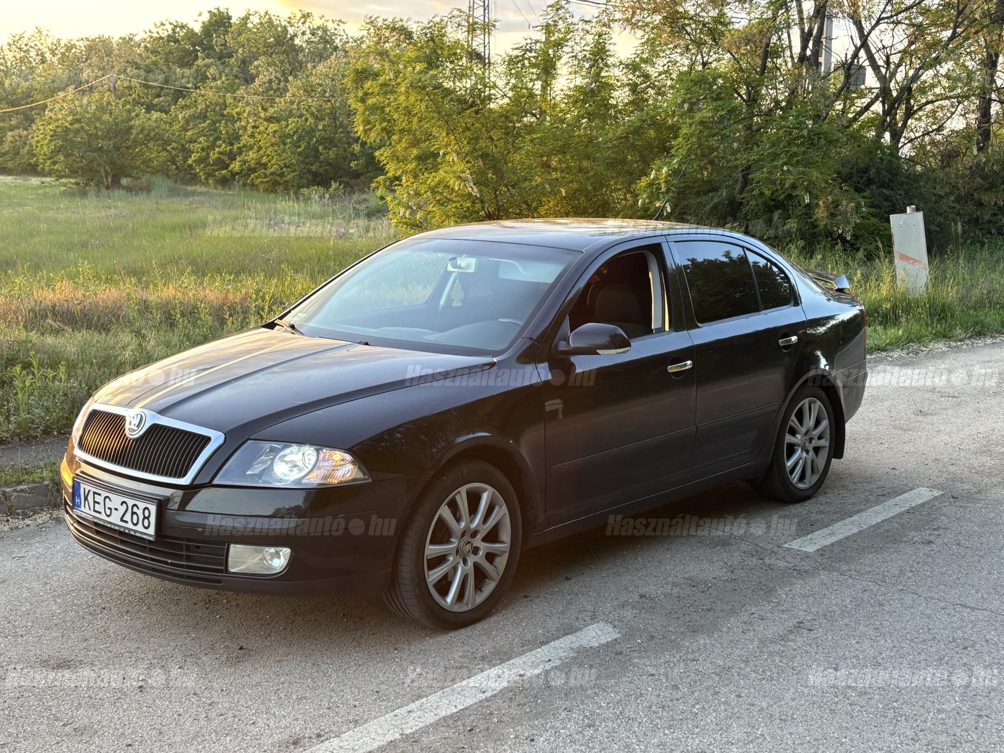 SKODA OCTAVIA 2006 - 1