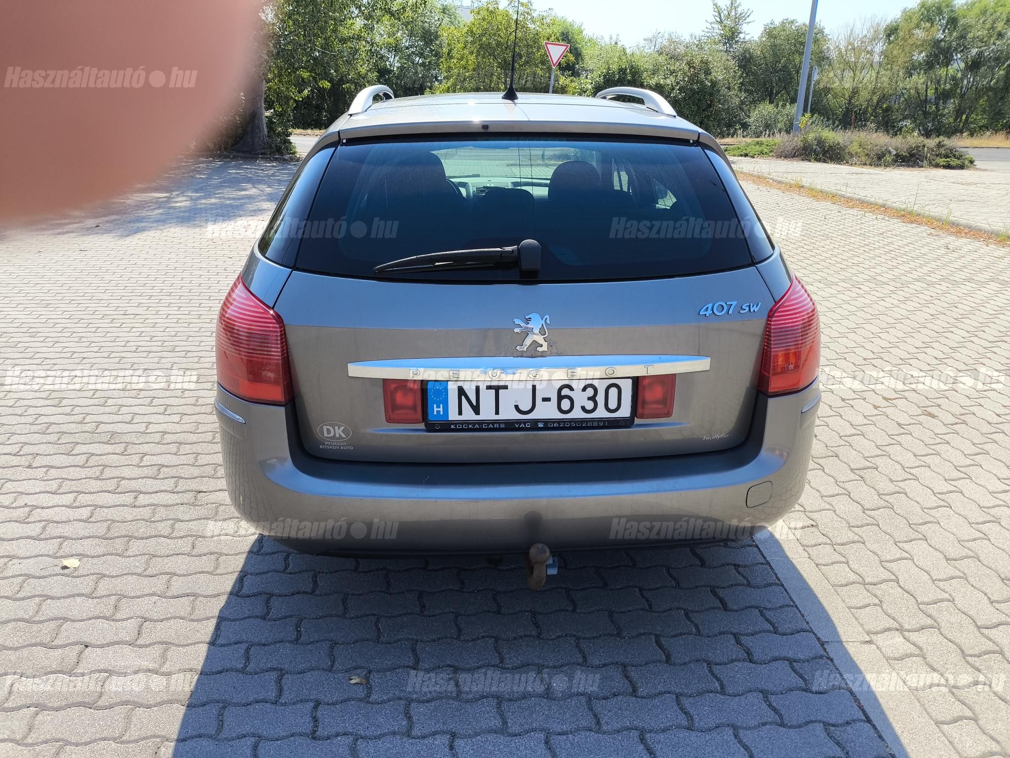PEUGEOT 407 2009/11 - 1