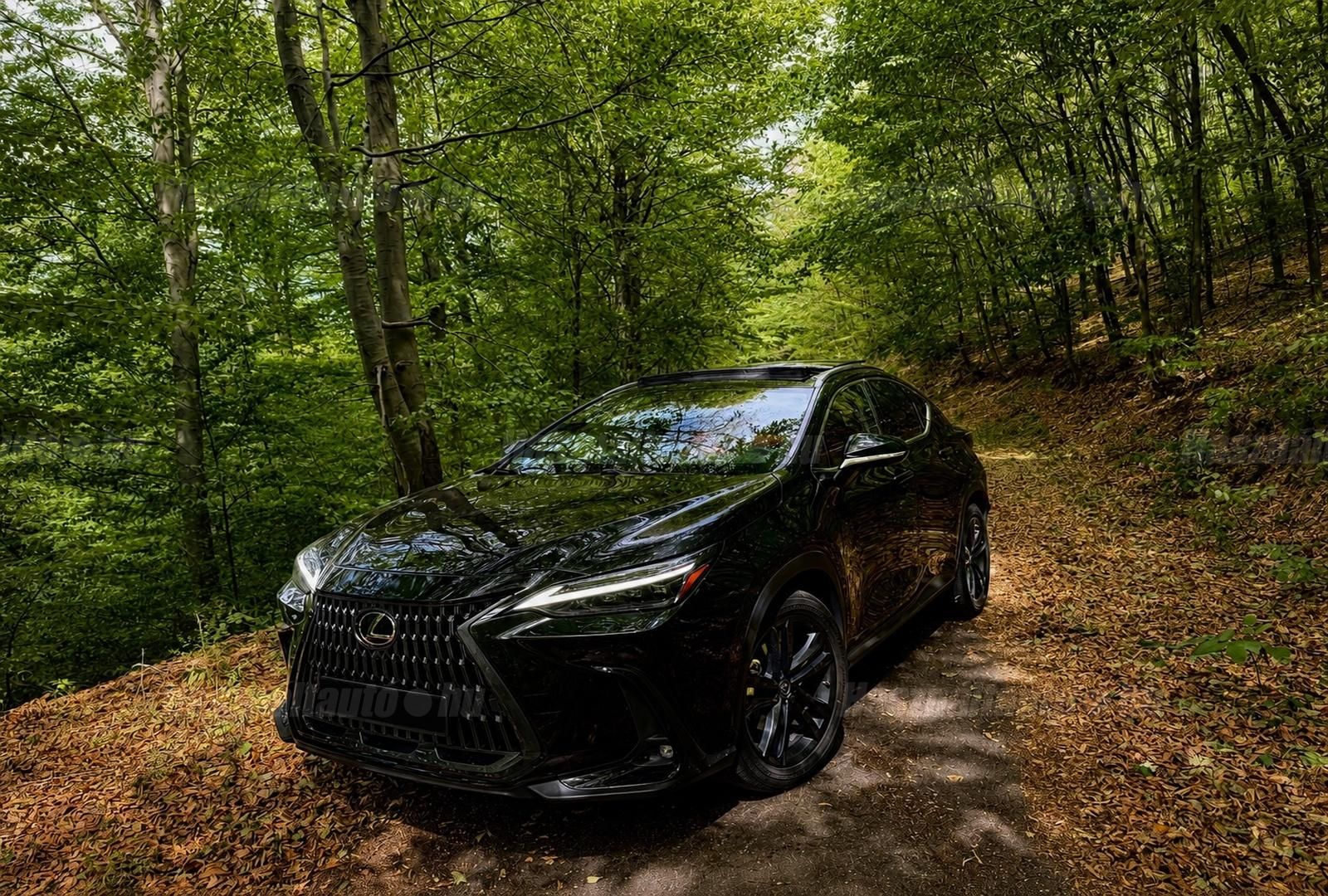 LEXUS NX 2022/2 - 1