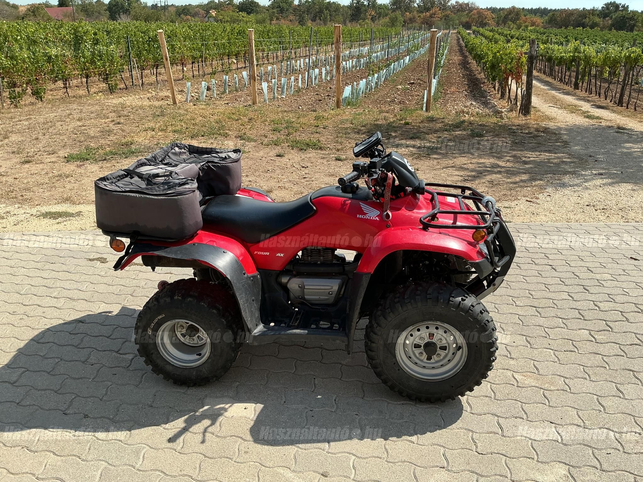 HONDA TRX 250 TM 2006 - 1