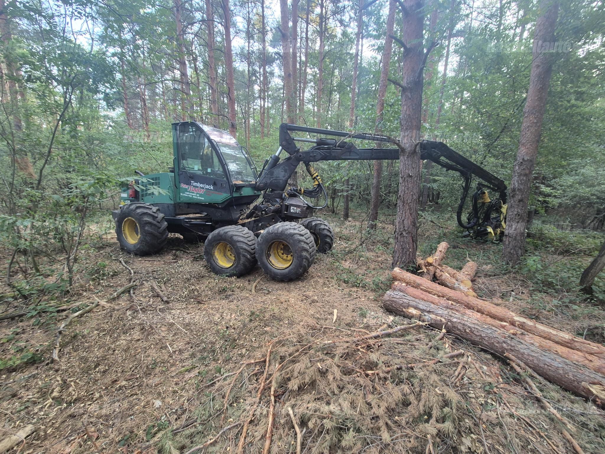 TIMBERJACK 2000 - 1