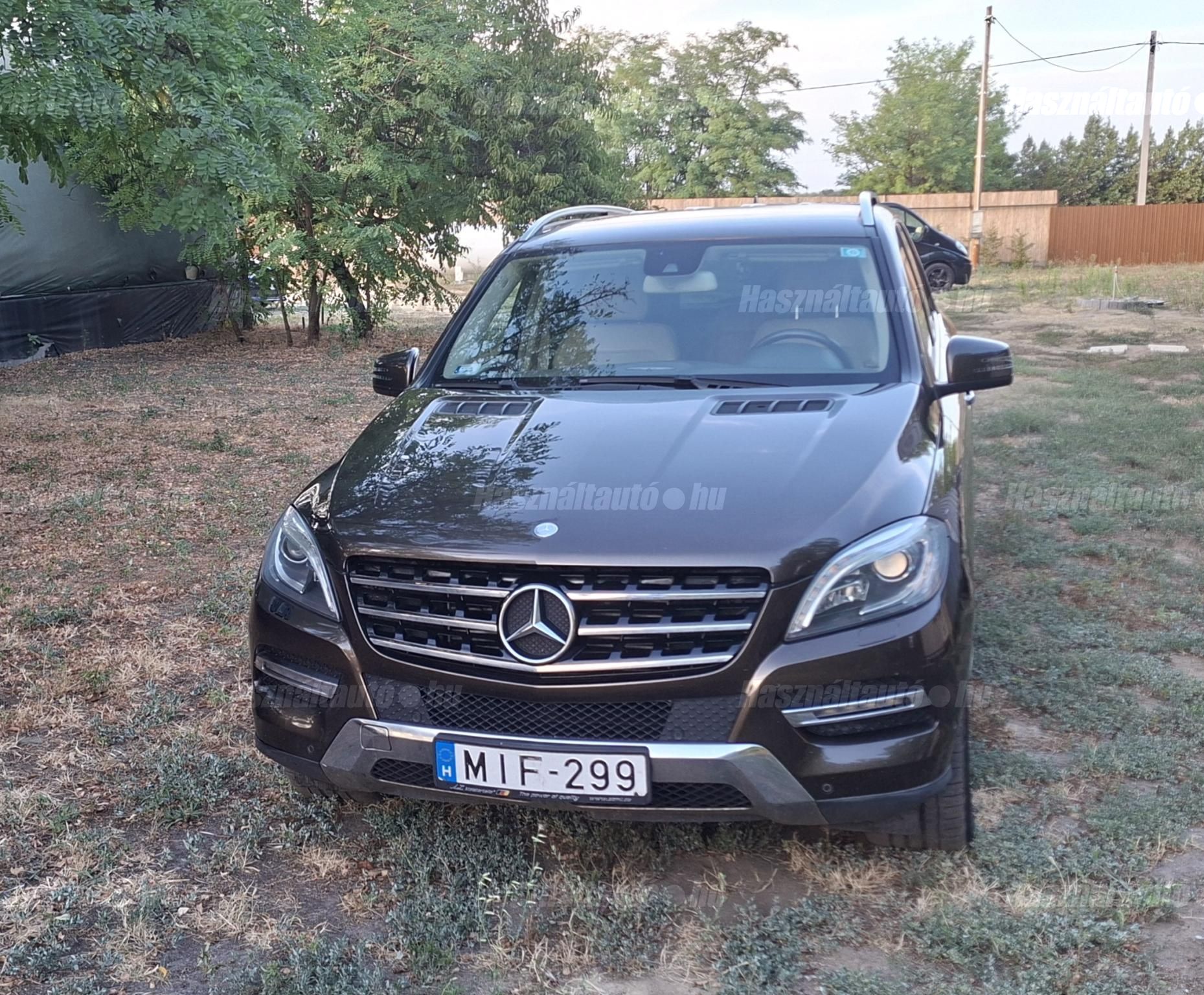 MERCEDES-BENZ ML 250 2013/5 - 1