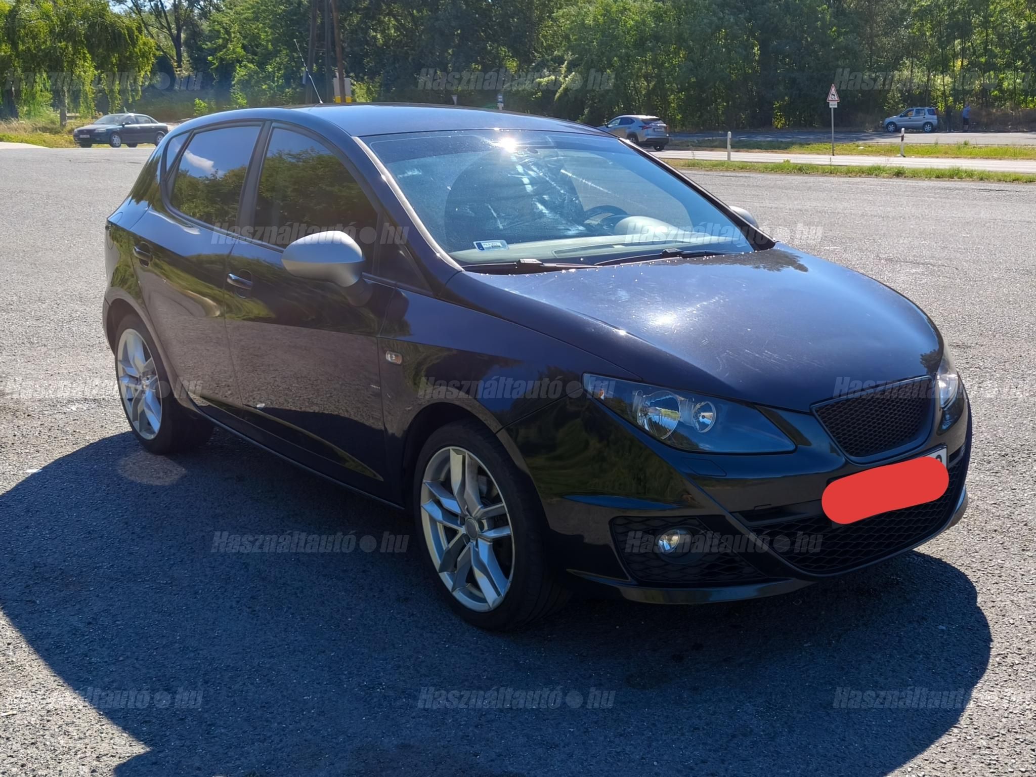 SEAT IBIZA 2010/7 - 1