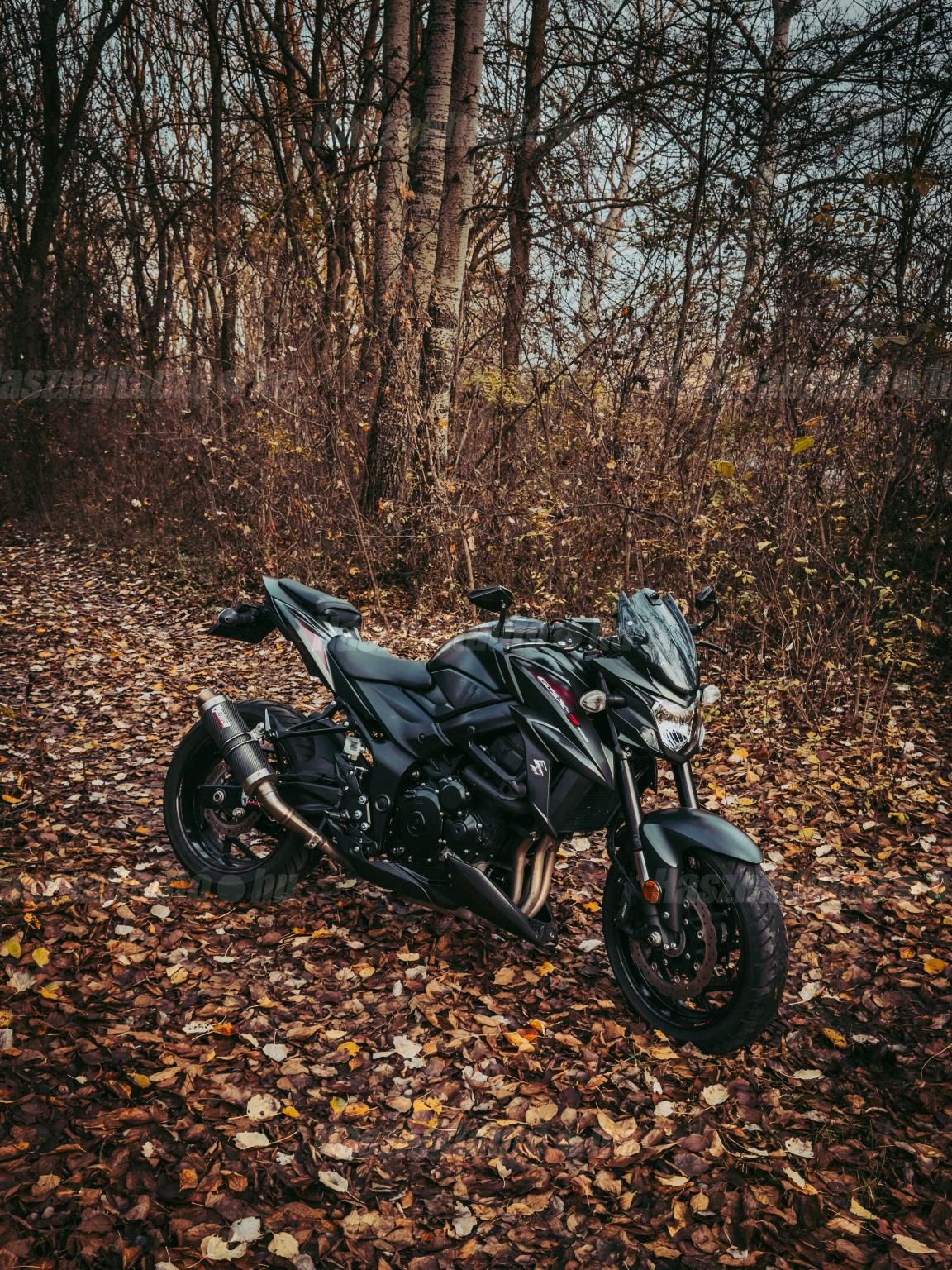 SUZUKI GSX-S 750 2018/10 - 1