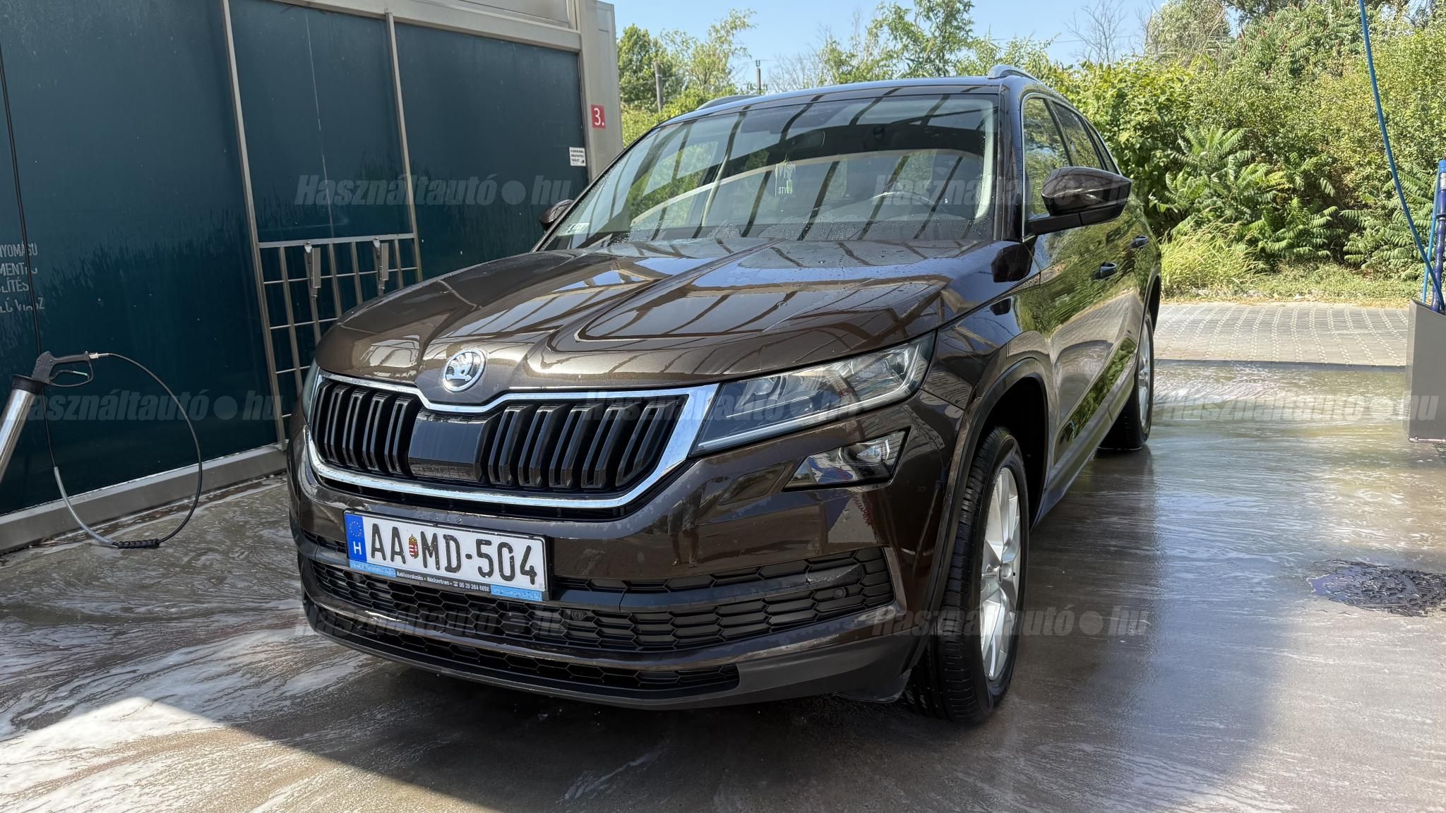 SKODA KODIAQ 2019/1 - 1