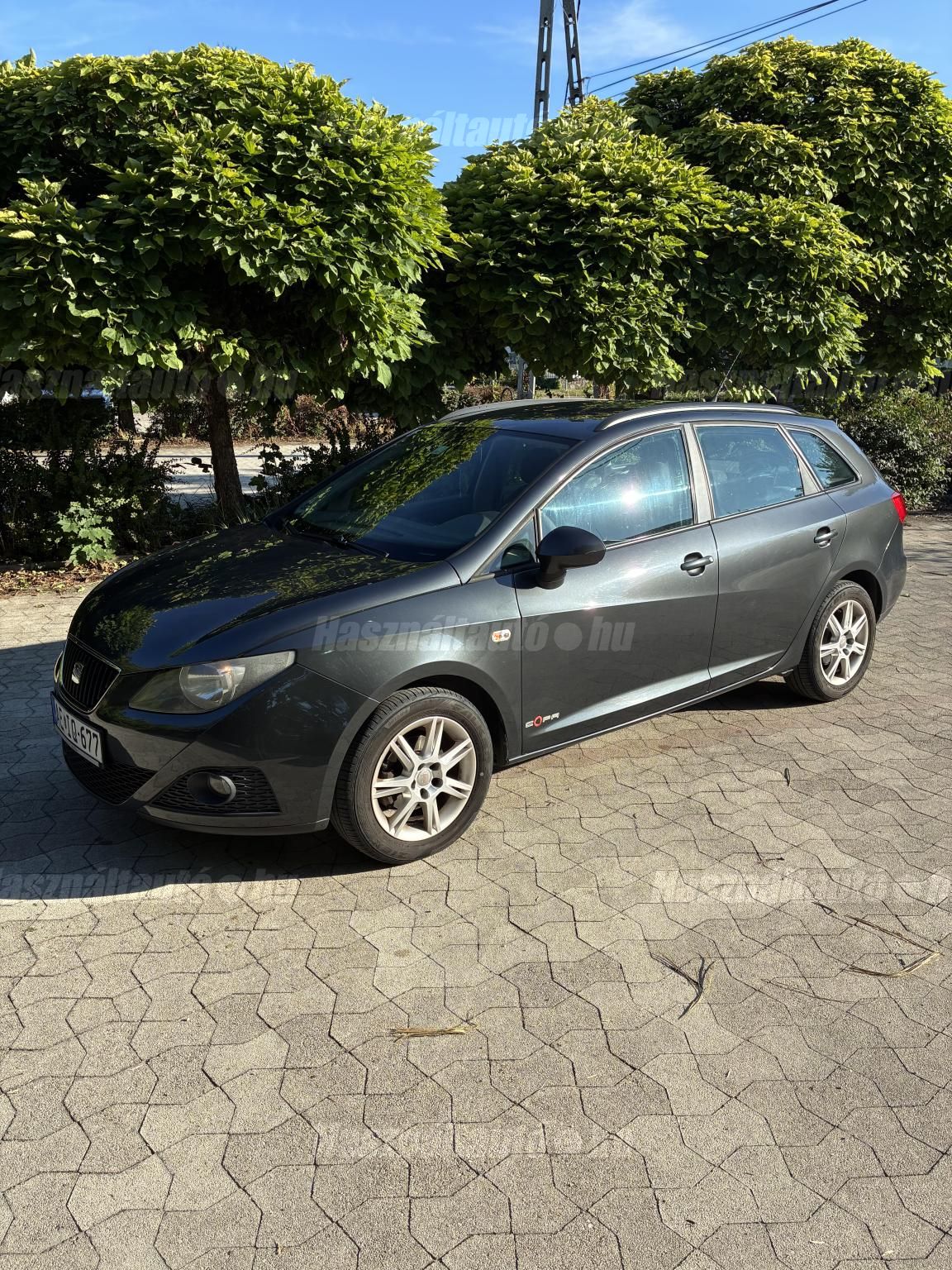 SEAT IBIZA 2011/9 - 1