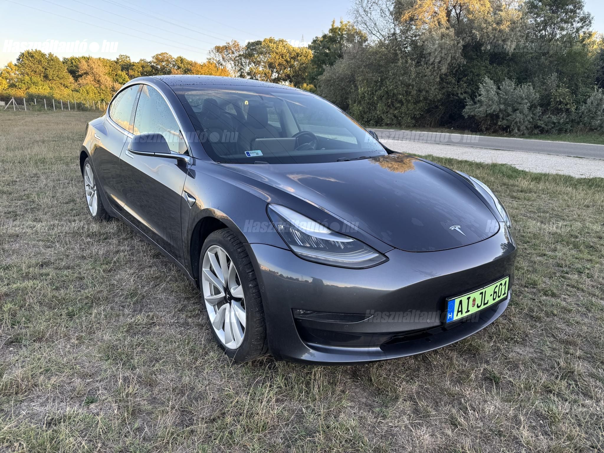 TESLA MODEL 3 2019/4 - 1