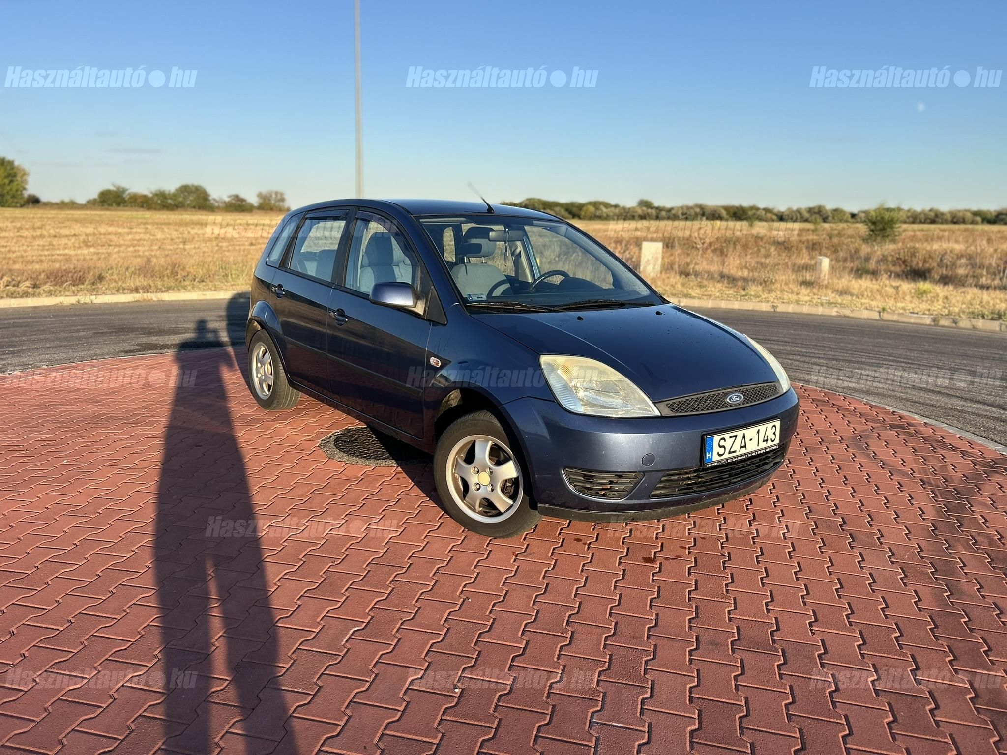 FORD FIESTA 2005/6 - 1