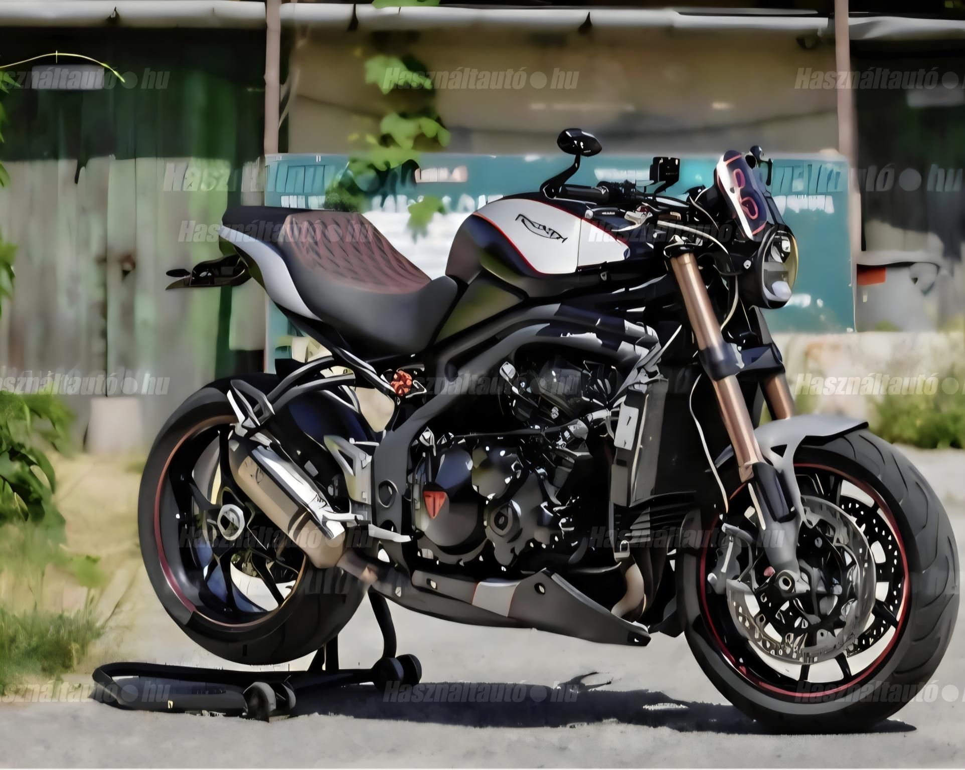 TRIUMPH SPEED TRIPLE 1050 2011 - 1
