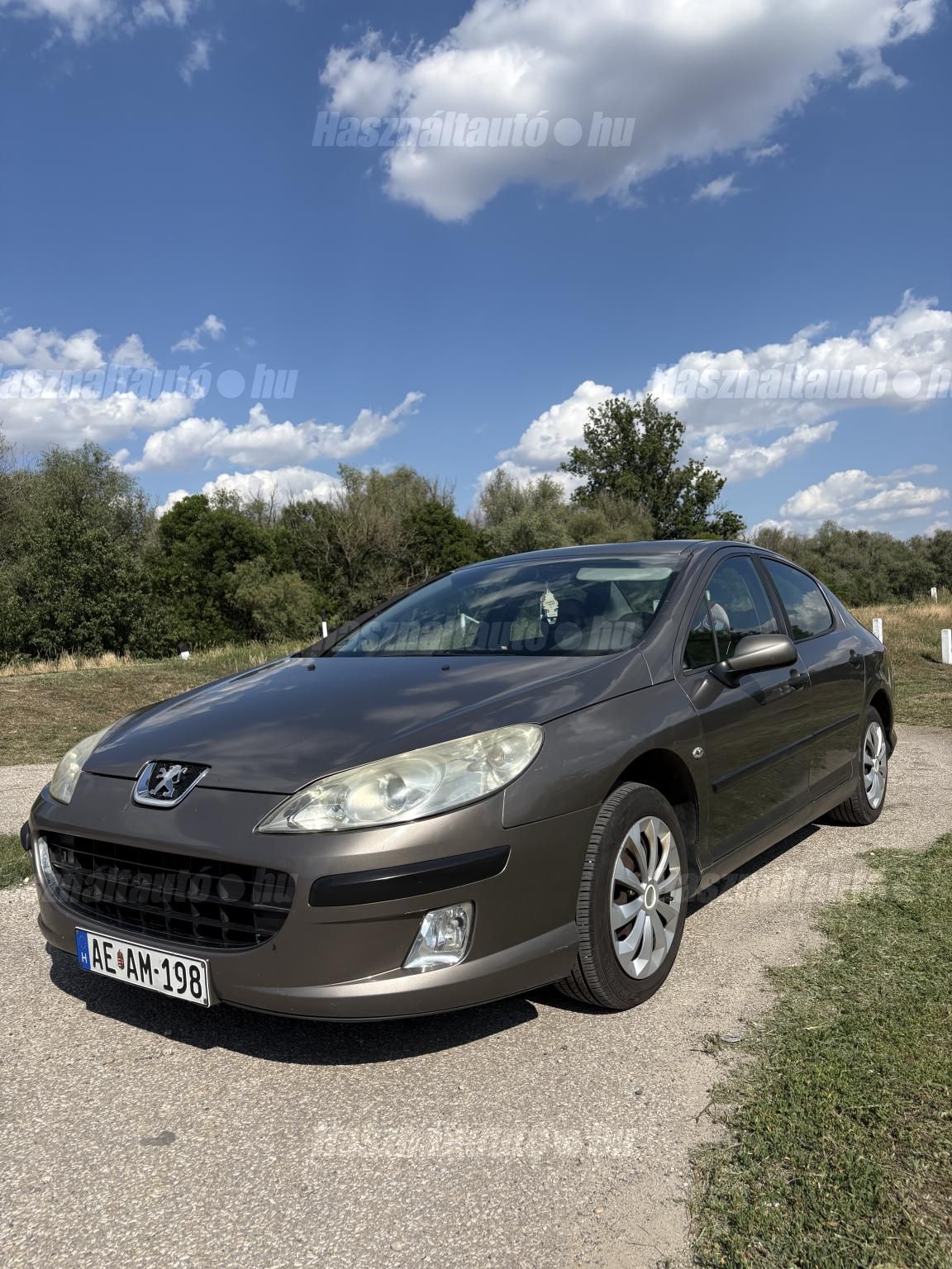 PEUGEOT 407 2005/9 - 1