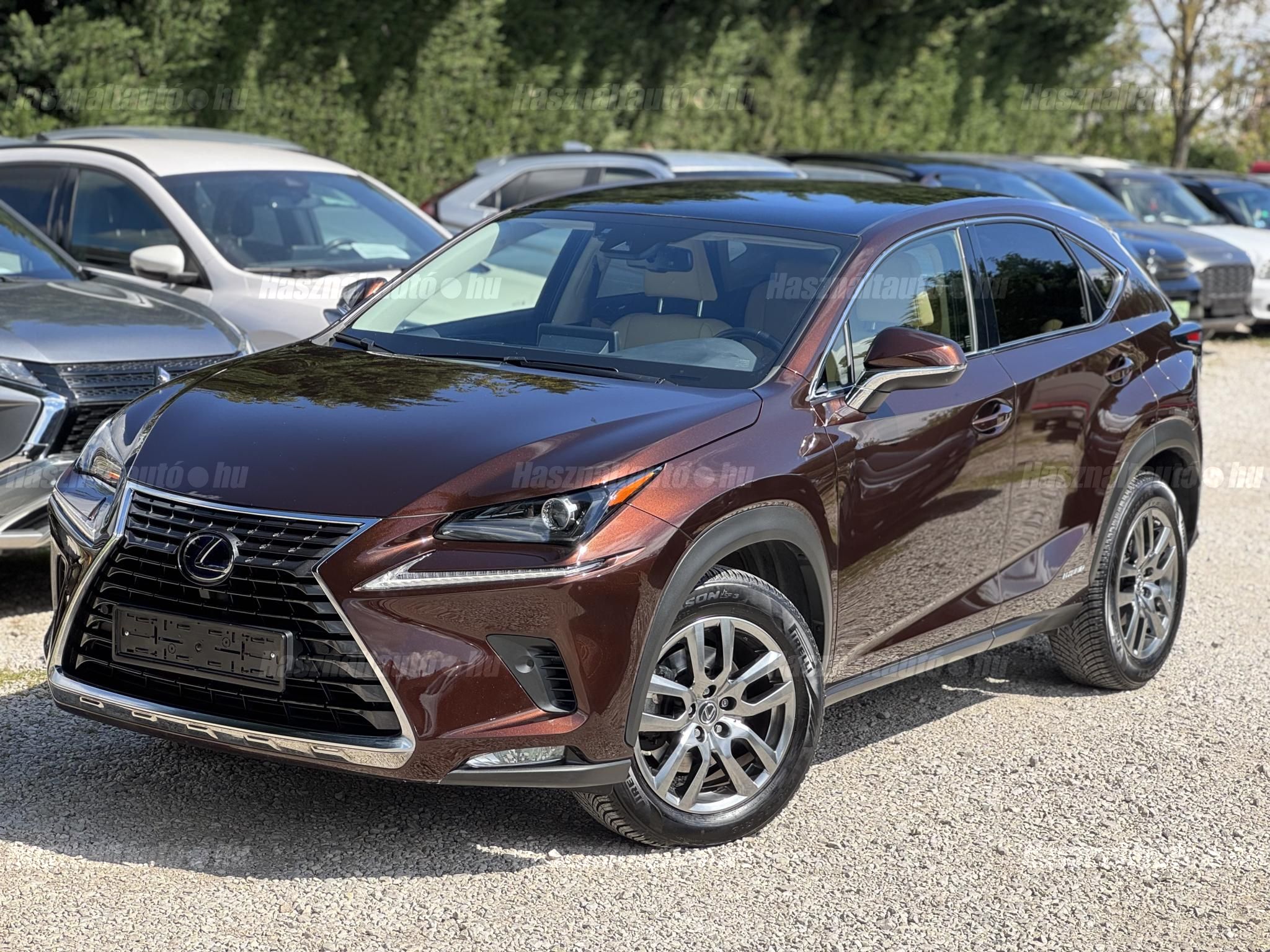 LEXUS NX 2020/8 - 1