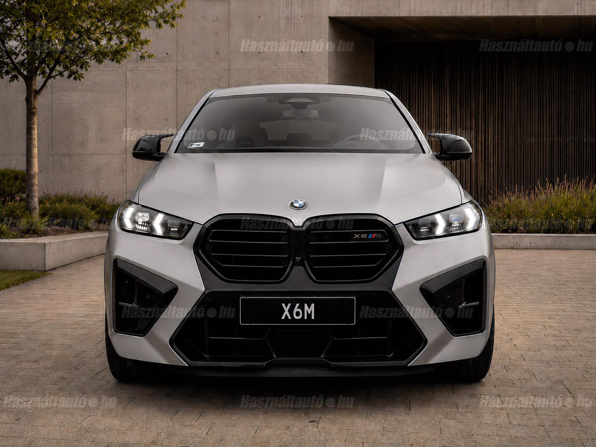 BMW X6 2024/6 - 1