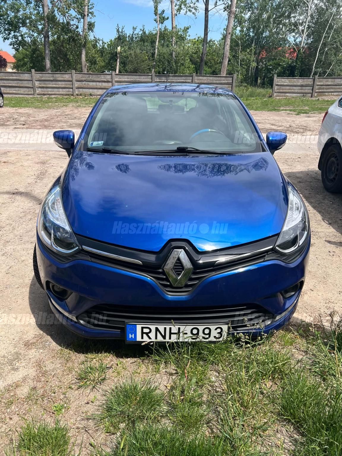 RENAULT CLIO 2018/9 - 1