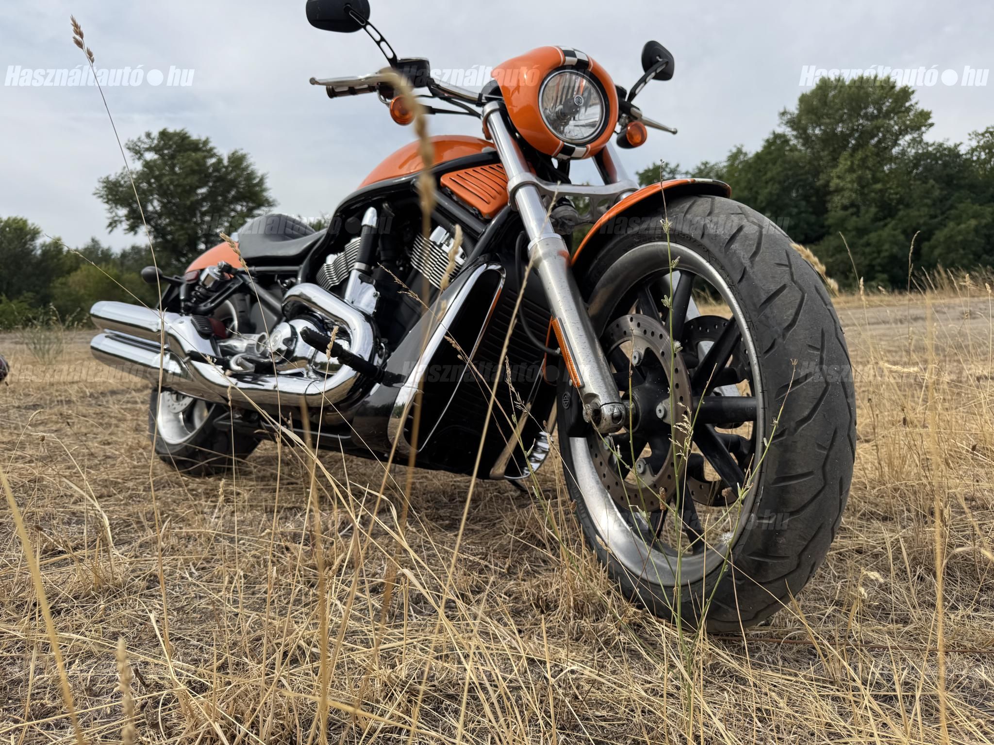 HARLEY-DAVIDSON V-ROD WIDE TIRE 2006/4 - 1