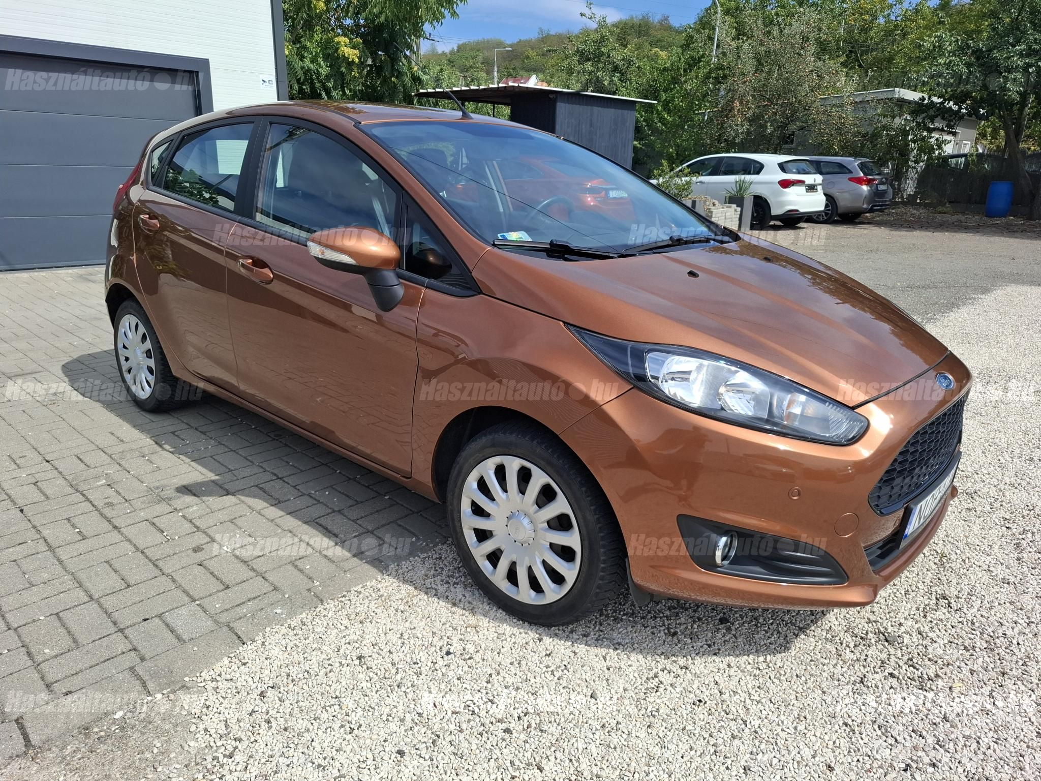 FORD FIESTA 2016/3 - 1