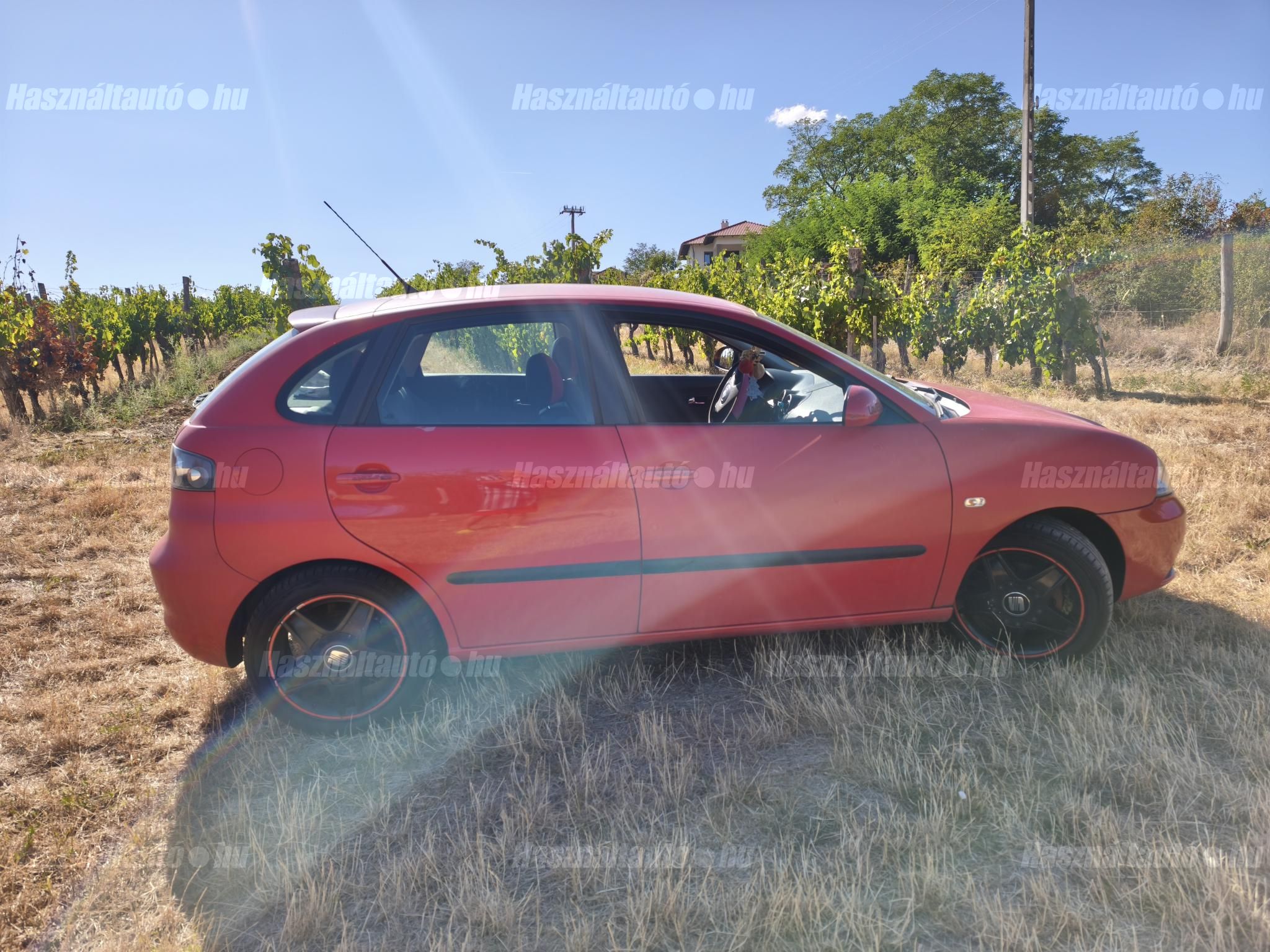 SEAT IBIZA 2006/5 - 1