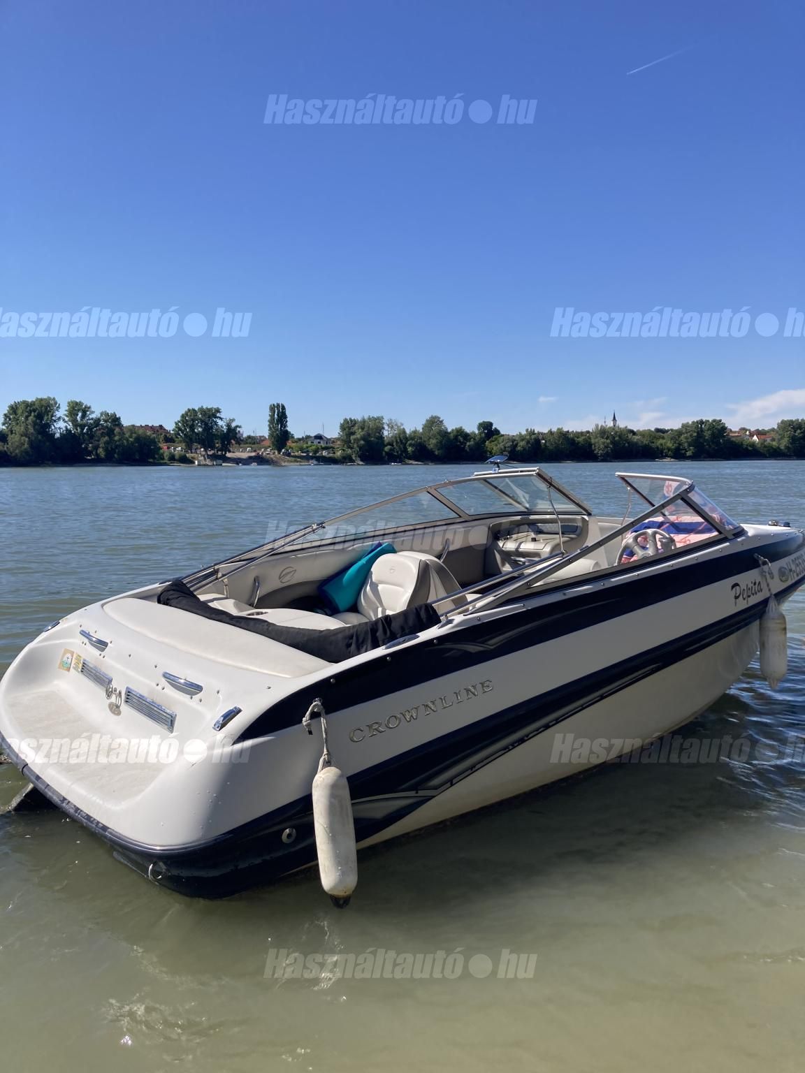 CROWNLINE 2006 - 1