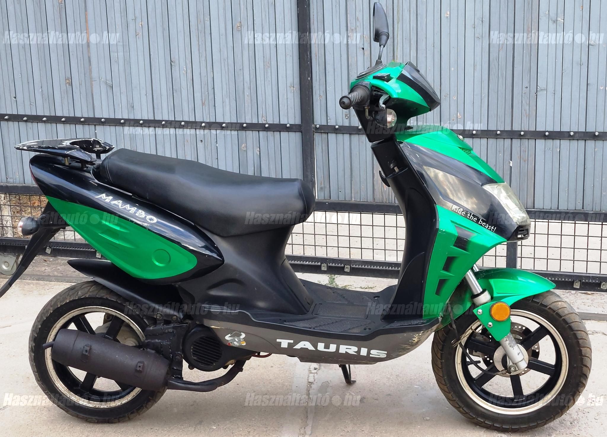 TAURIS MAMBO 50 2015/6 - 1