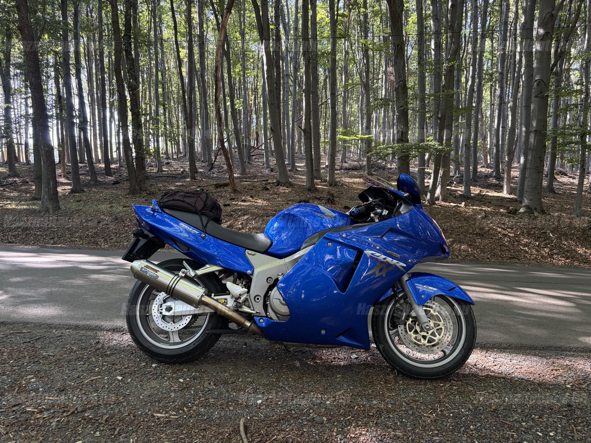 HONDA CBR 1100 XX 2001/12 - 1