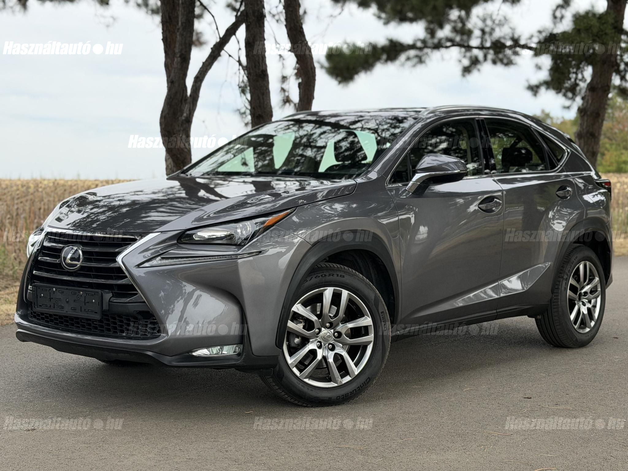 LEXUS NX 2017/6 - 1