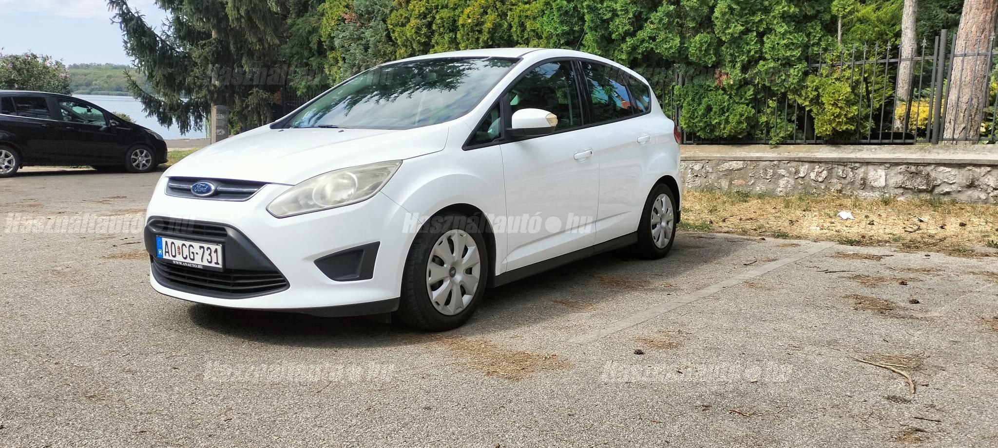 FORD C-MAX 2011 - 1
