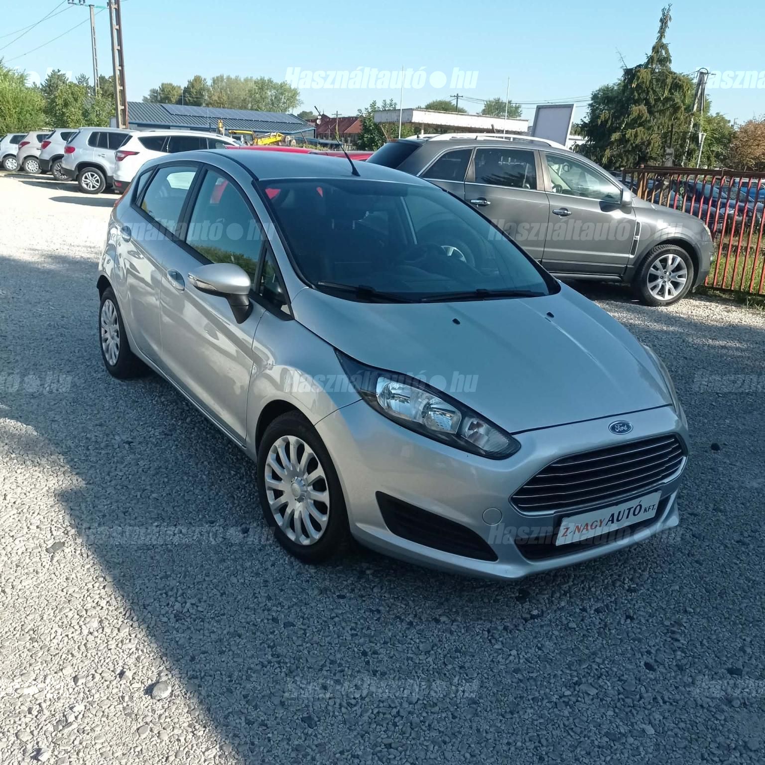 FORD FIESTA 2013/6 - 1
