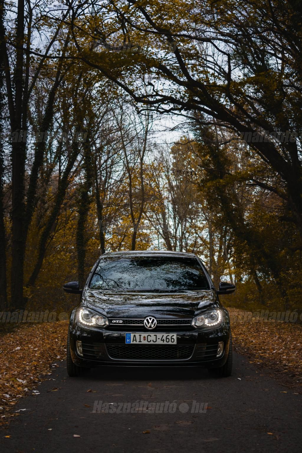 VOLKSWAGEN GOLF VI 2011/11 - 1