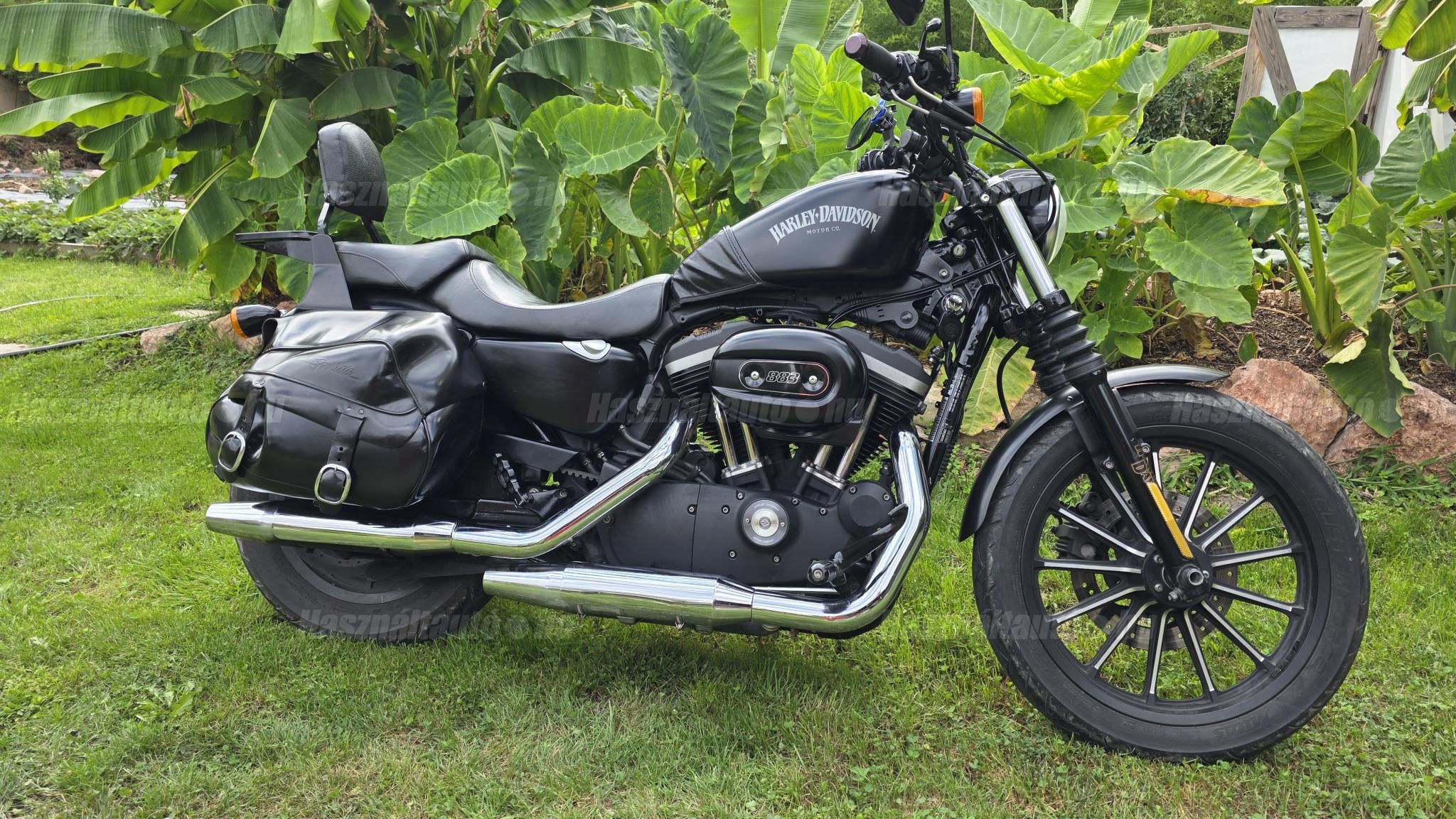 HARLEY-DAVIDSON SPORTSTER 883 IRON 2013/6 - 1