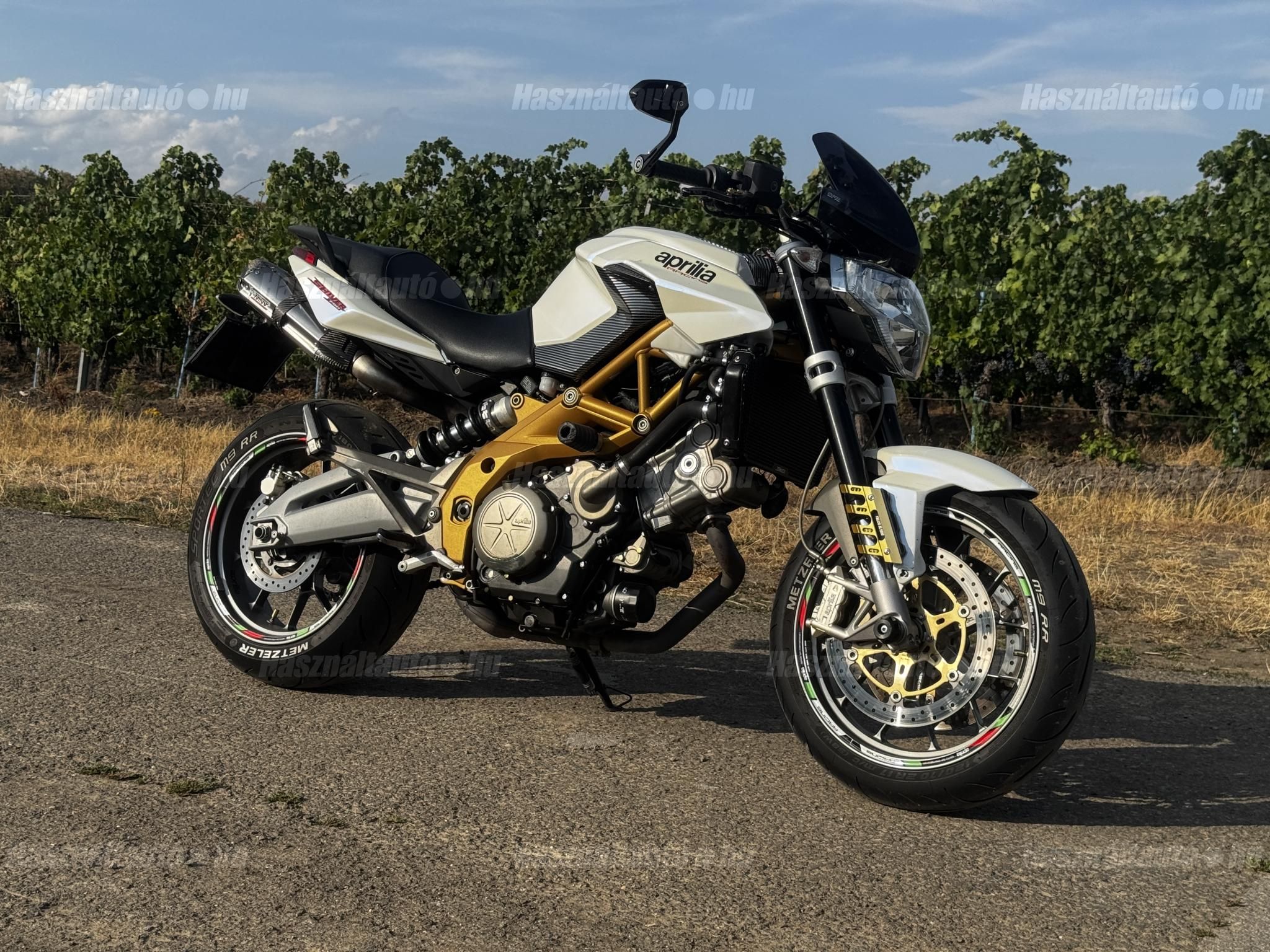 APRILIA SHIVER 2011 - 1