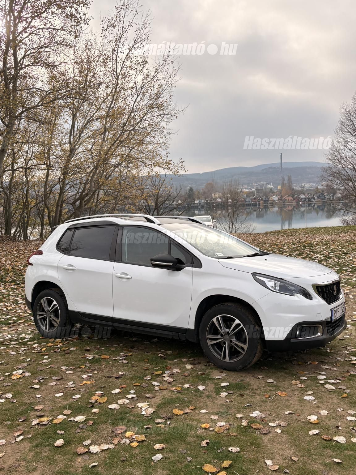 PEUGEOT 2008 2019/10 - 1