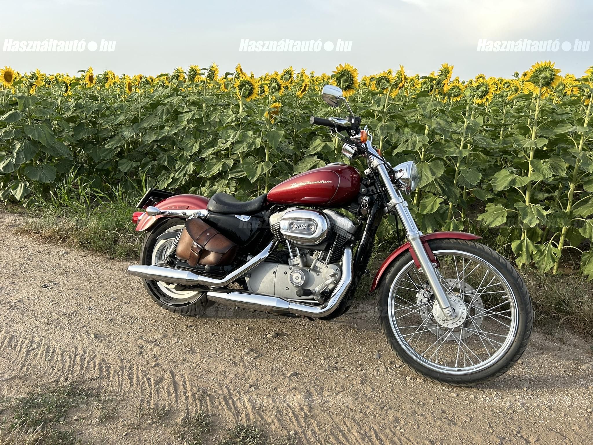 HARLEY-DAVIDSON SPORTSTER 883 2006 - 1