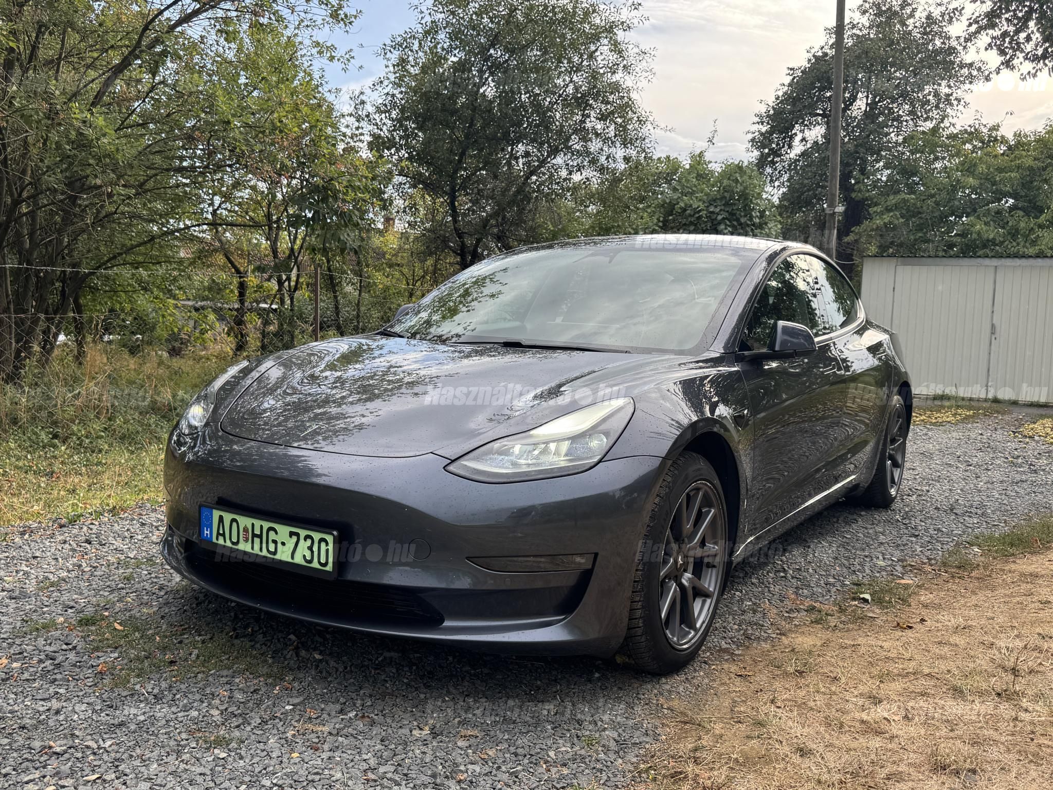 TESLA MODEL 3 2021/3 - 1