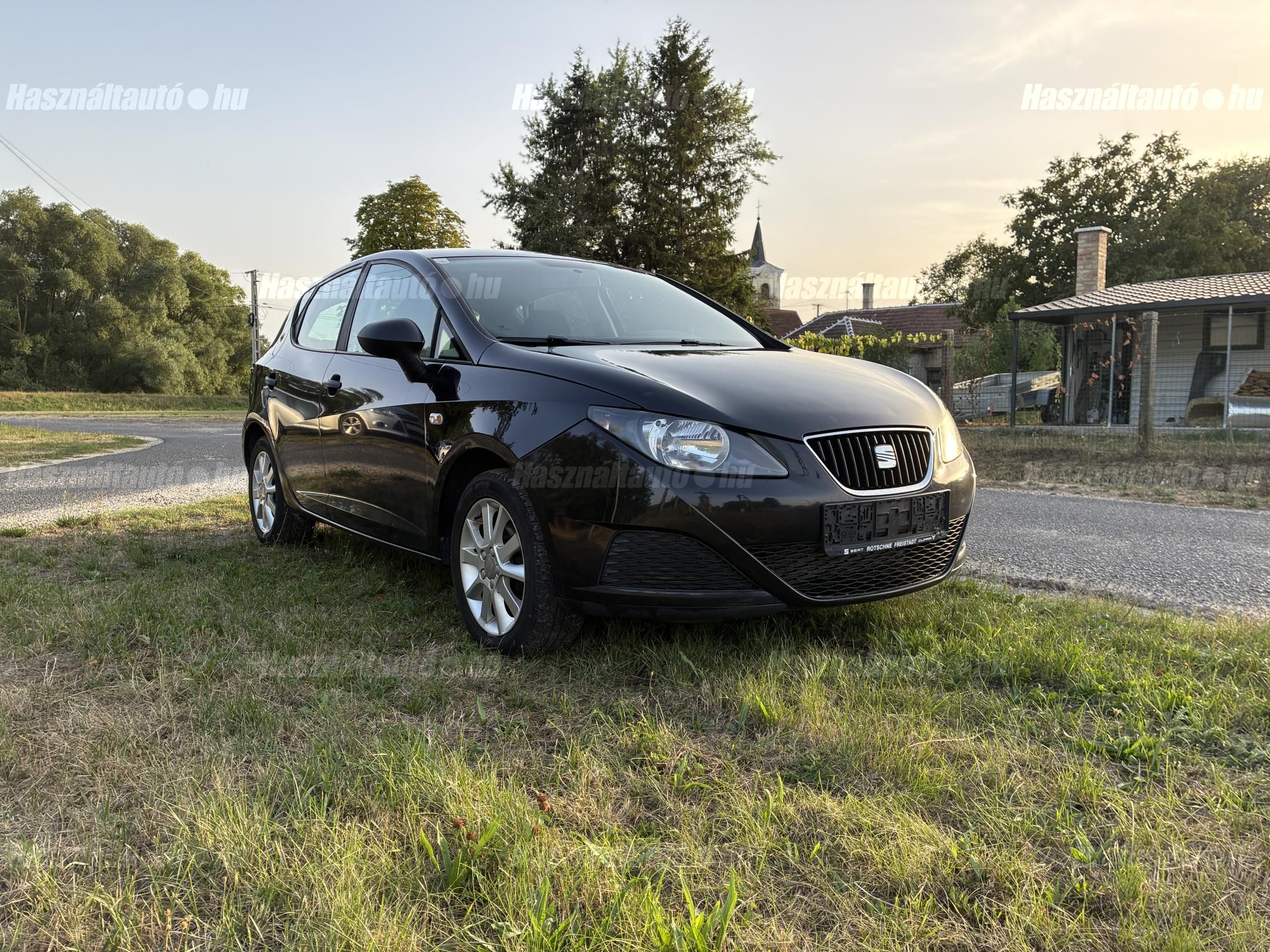 SEAT IBIZA 2011/5 - 1
