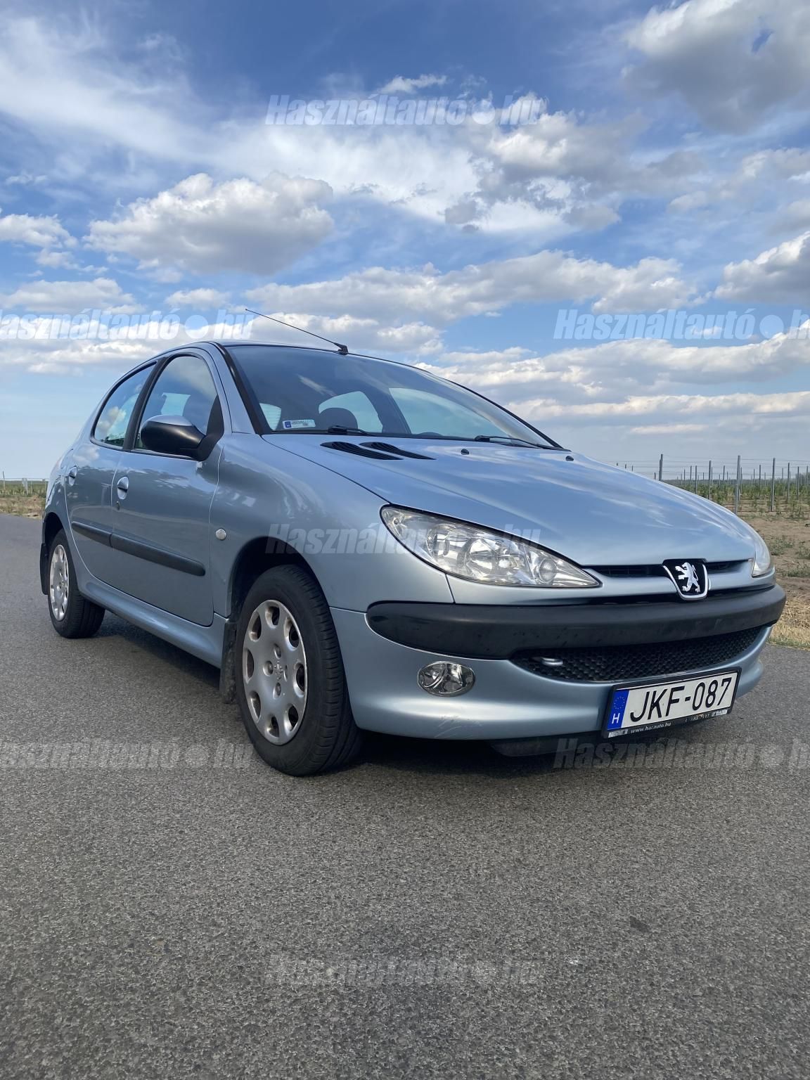 PEUGEOT 206 2004/9 - 1