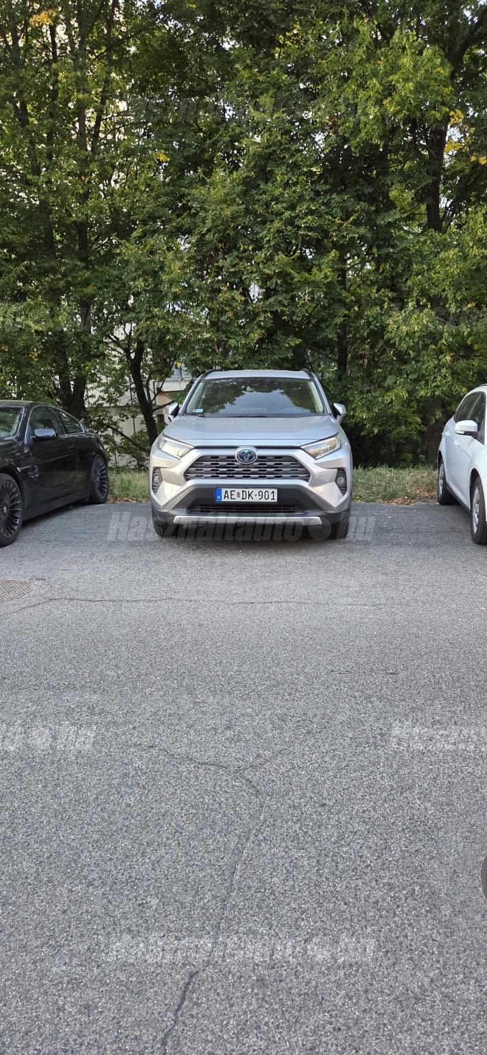 TOYOTA RAV 4 2019 - 1