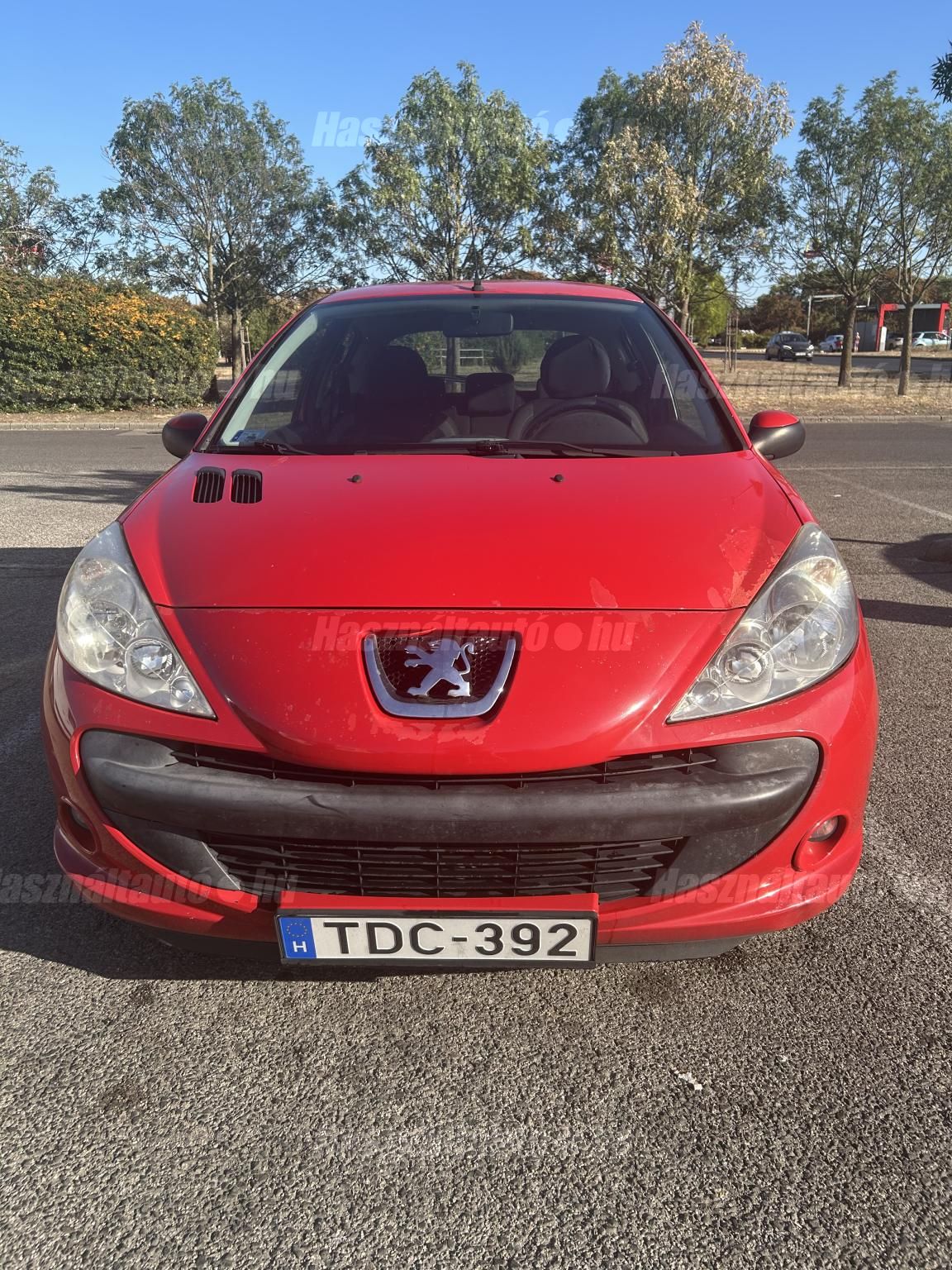 PEUGEOT 206 2010/2 - 1