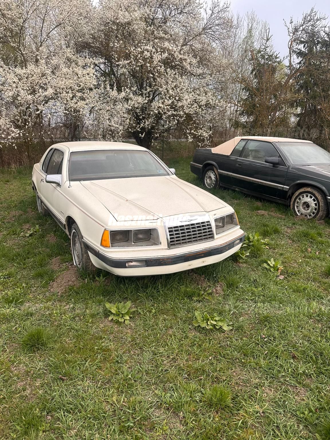 FORD THUNDERBIRD 1983 - 1
