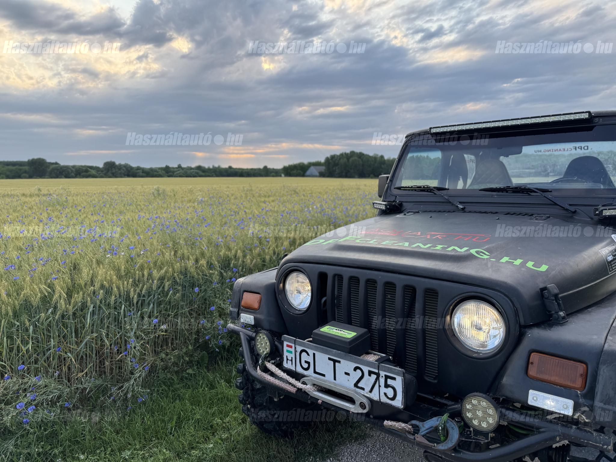 JEEP WRANGLER 1998/1 - 1