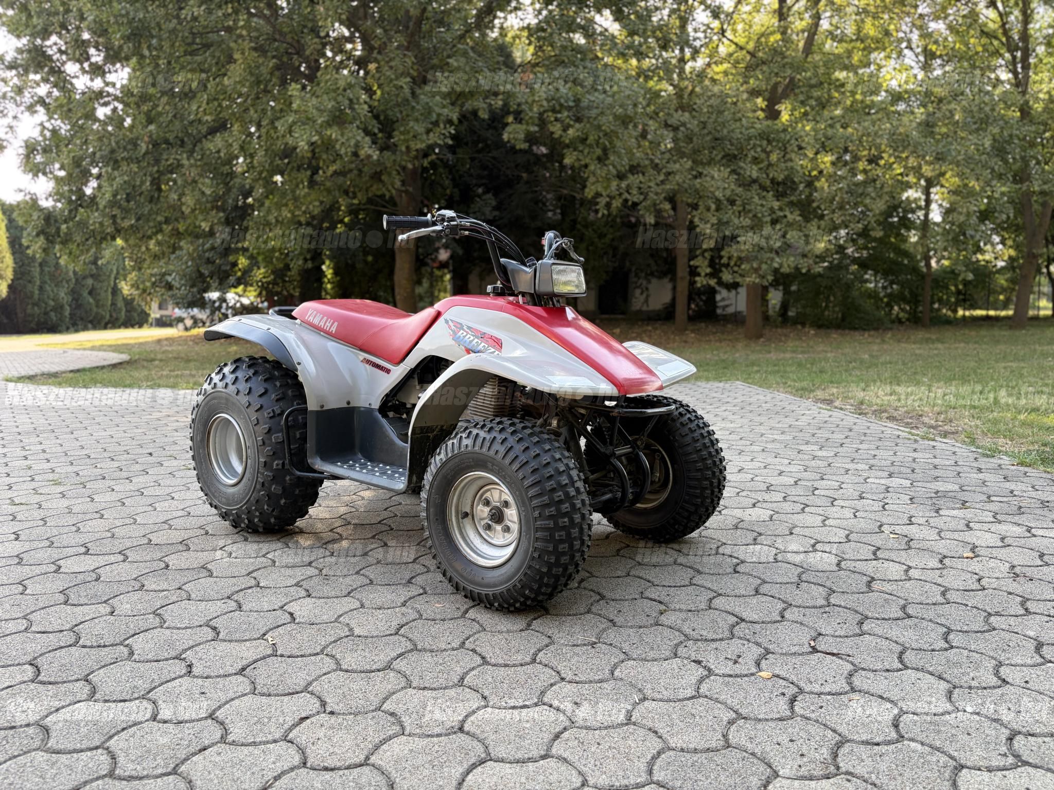 YAMAHA YFA 1 1994/3 - 1